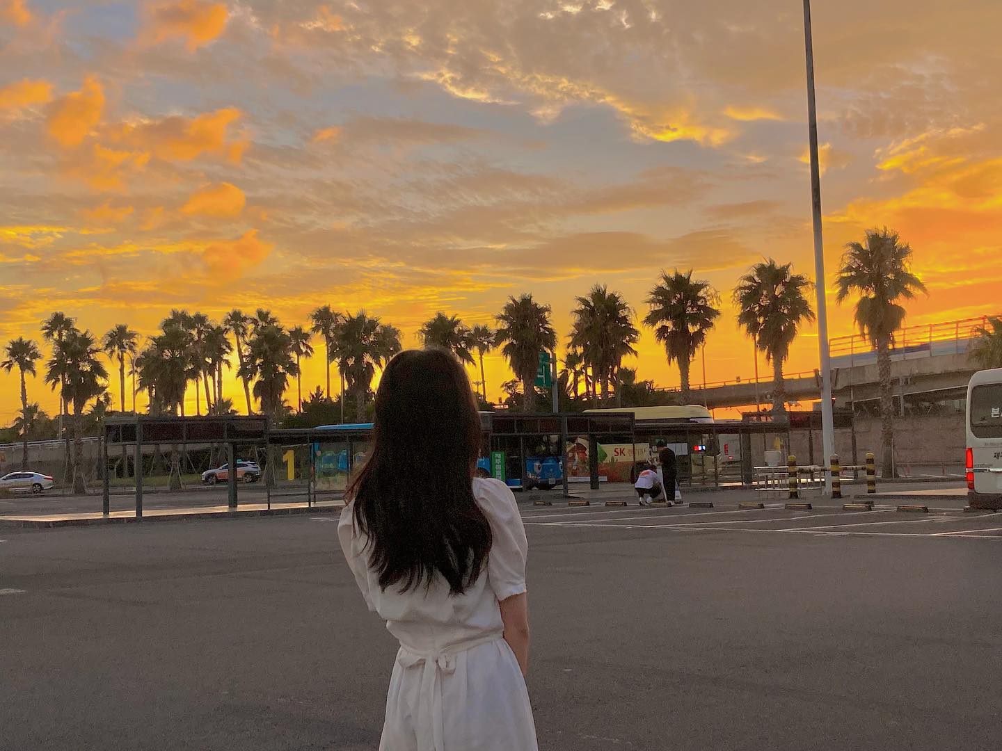 (ㅅ´ ˘ `)♡ ɪɴ ᴊᴇᴊᴜ ᰔᩚ
#jeju #노을