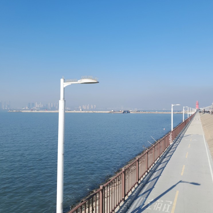 🚗 [오이도] : 호텔 씨하이, 조개포차, 짬뽕순두부 (2020년 11월 11~12일)