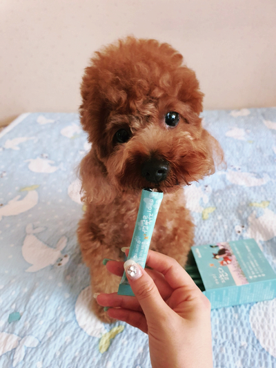 강아지종합영양제 이노스펫아이잘논다로 관리하기