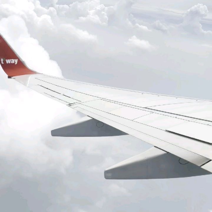 ✈제주도 1일차🍊🤍

날씨가 너무 좋아서 비행기에서 구름이 다 보였던 비행🛫 여행의 첫 시작이여서 그런지 두큰두큰🤍

렌트는 2일차부터 시작해서 버스를 타고 다녔는데 제주도에서 대중교통을 처음으로 탄거여서 의미있었당ㅎㅎ

저녁은 민철이 친구분 소개로 '탐라우돈'을 가서 흑돼지와 냉면을 먹었는데 우리가 고기를 잘 못 구어서인지 너무 겉바속바가 돼버렸다는,,🥲

저녁먹고 '수목원길 야시장'을 갔는데 어두워질수록 야시장의 분위기가 살아났고 제주도의 푸드트럭을 여기에 다 모아놓은 것 같았당🍍🥭🍗🍖🍚🍺🥗 파인애플 쥬스는 필코‼️

첫날 숙소는 글러스터 호텔! 공항과 가까워서 편했고 깔끔해서 ⭐⭐⭐⭐