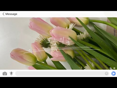 [브이로그] 평범한 직장인의 꽃꽂이🌷🤍