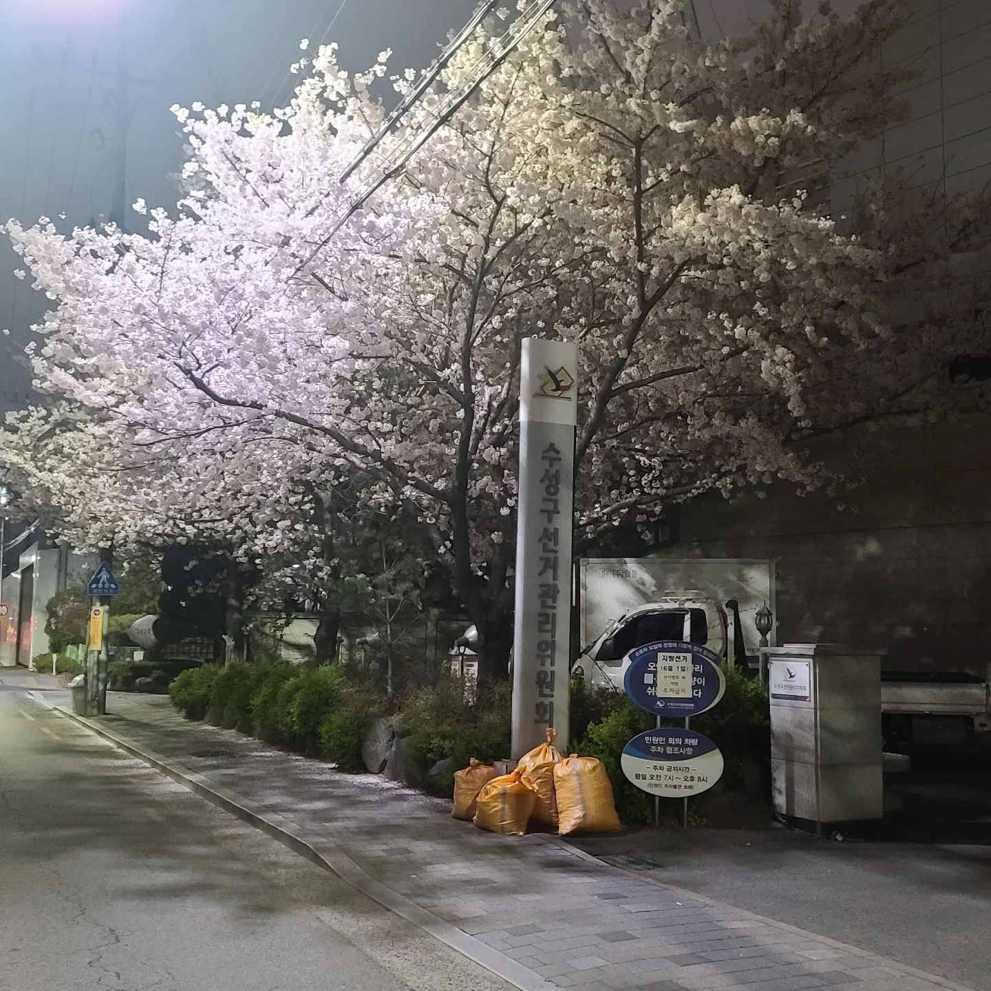 신천 산책하러 갔다가 만난 벚꽃 넘 이쁘네
#희망교
#수성구선거관리위원회
#신천벚꽃
#대구벚꽃