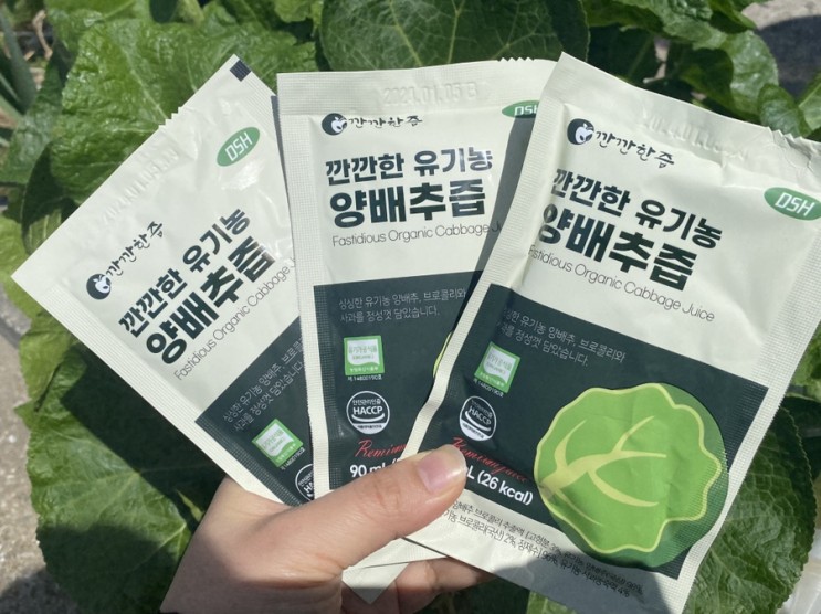 양배추즙추천 송도순 깐깐한즙 유기농 양배추즙