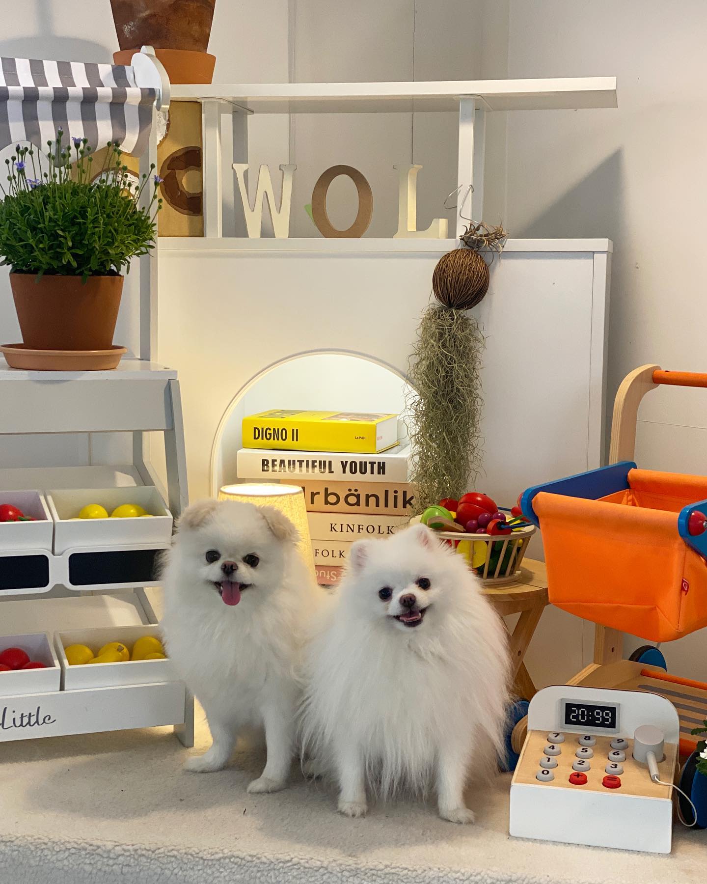 ❤️사랑해 내 아가❤️
.
.
#pomeranian #포메라니안 #포비 #크롱 #포크랜드 #🐶
