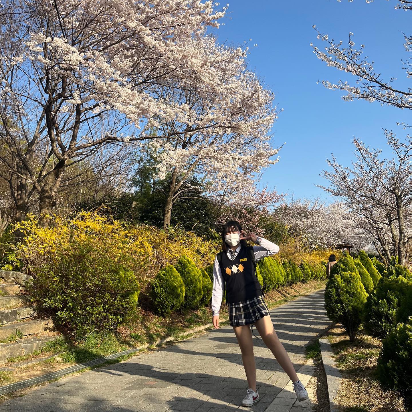 🌸🌼🌱