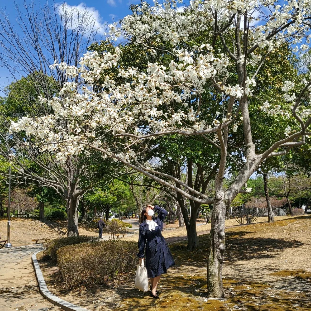 봄을 만끽하는 포즈 예시입니다
메모하세요 다들^-^♡