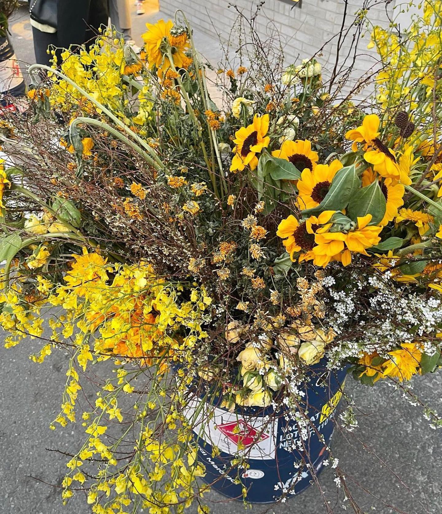 #mardimercredi