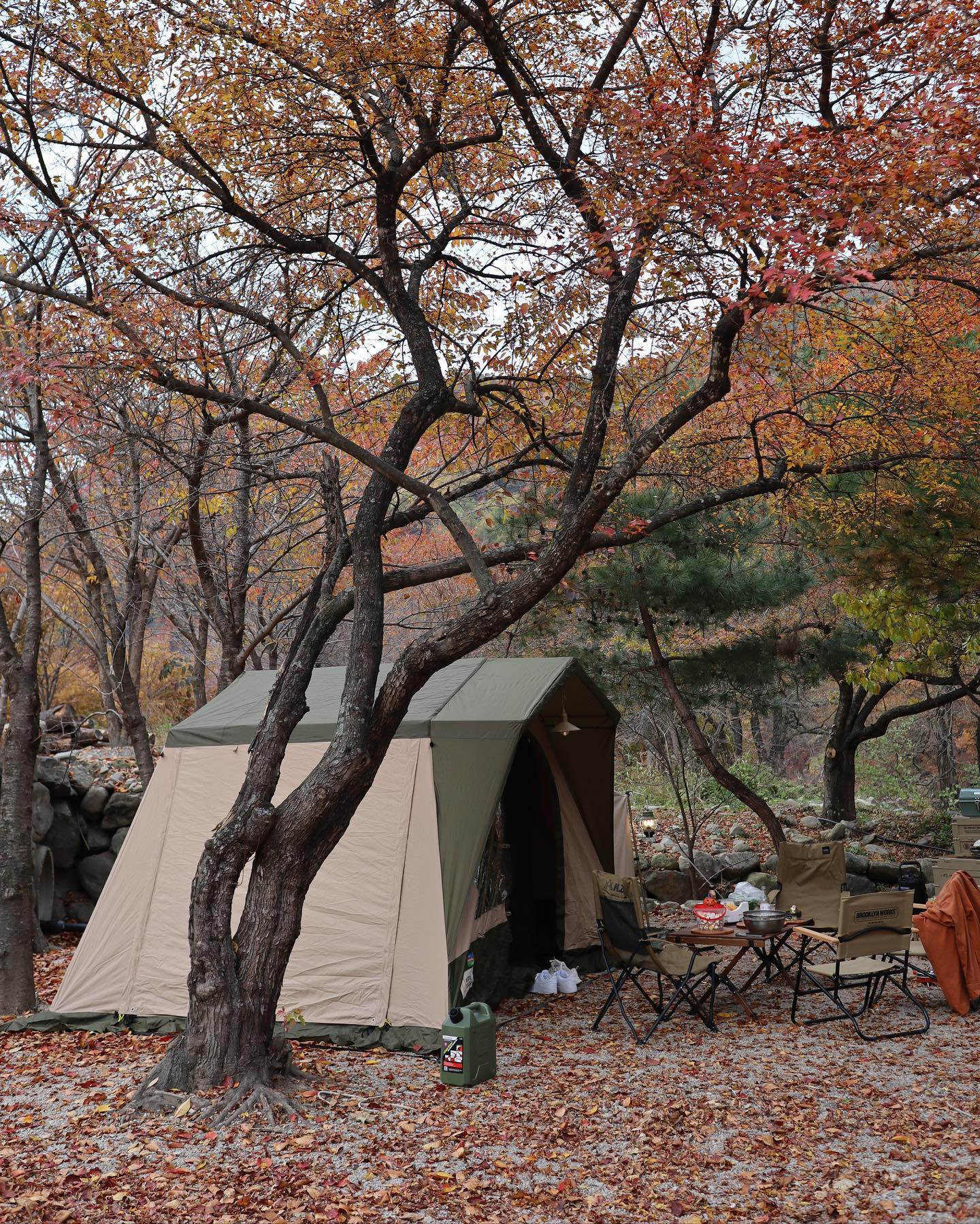 🏕️

유독 멋스럽게 쭉 뻗은 나무와 코티지하우스의
조화가 울긋불긋 단풍까지 더해져 가을 정취를
그대로 만끽할 수 있는 잊지 못할 캠핑이 될 것 같다🍁