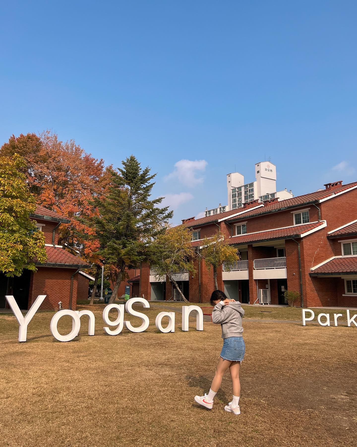 용산공원 단풍 현재 상황🍁
지금쯤이면 다 물들었겠지 싶어서 갔더니
아직은 살~~~~짝 아쉬운 그런 단풍정도!

제 생각엔 요번주 주말정도에 완전 예쁘게 물들을 것 같네유🍂
다덜 용산공원에 센치하게 단풍구경 다녀오세오😎

그나저나 인스타 영상 크기조절 왜안돼 갑자기😑😑