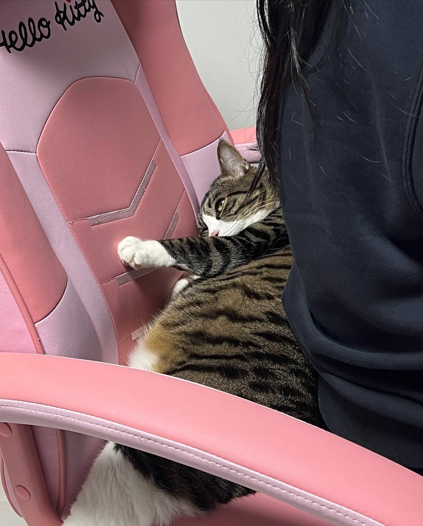 의자 쟁탈전..
이번엔 내가 먼저 앉았는데
니가 늦게 온 거다..