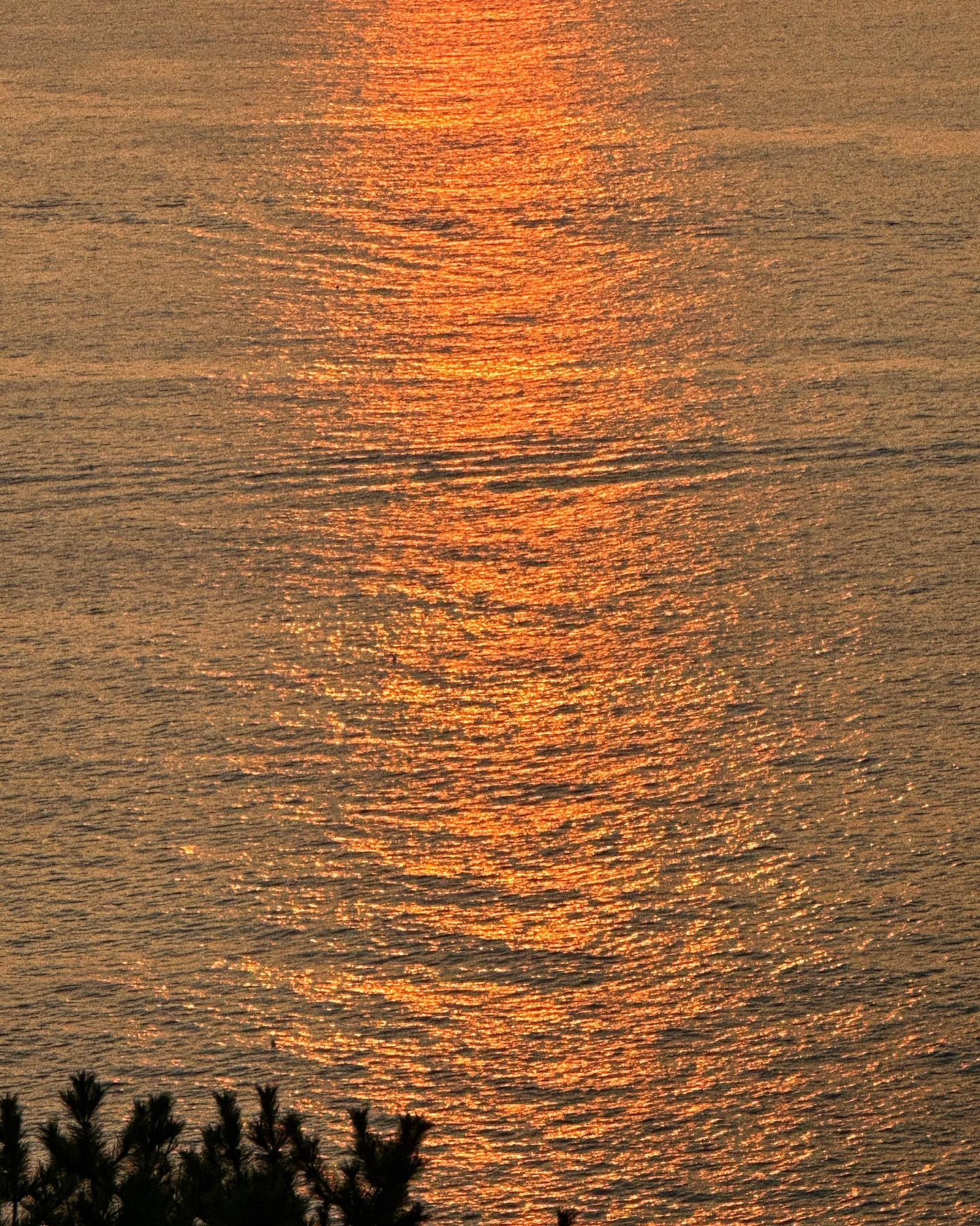 ✨🧡✨🧡✨
날이 많이 흐렸지만 반짝반짝 윤슬이 너무 예뻤던 날.
