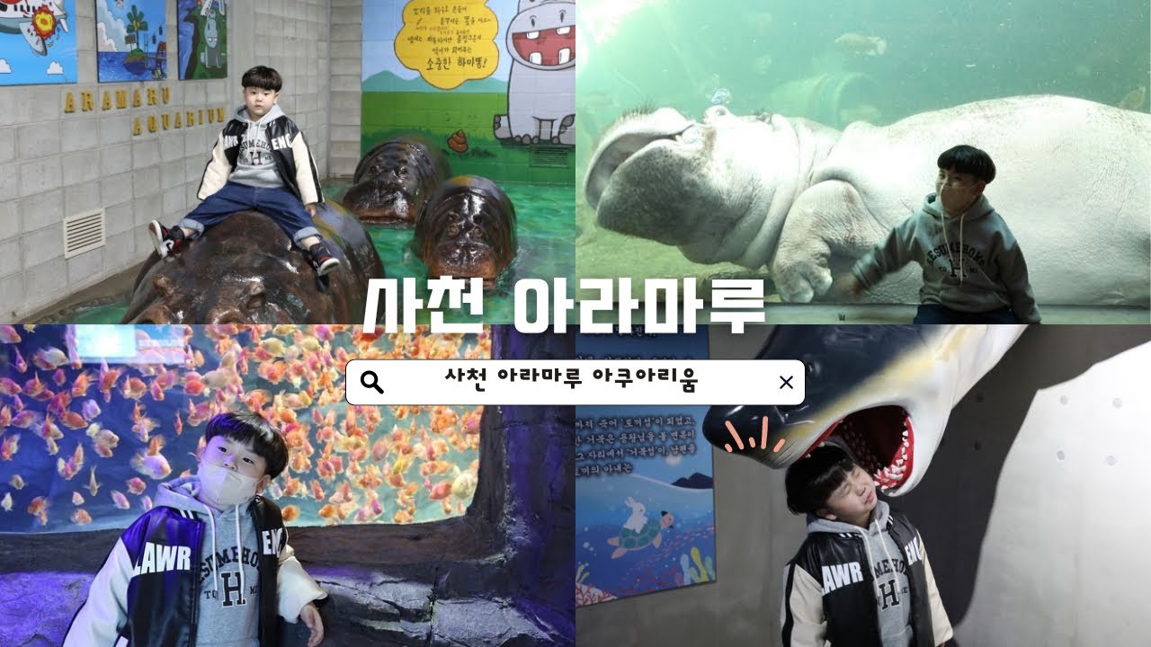 사천 아라마루 아쿠아리움 , 사천 아이와 가볼 만한 곳 🫶🏻 사천 아라마루에는 어떤 친구들이 살고 있을까? 🙃🤍