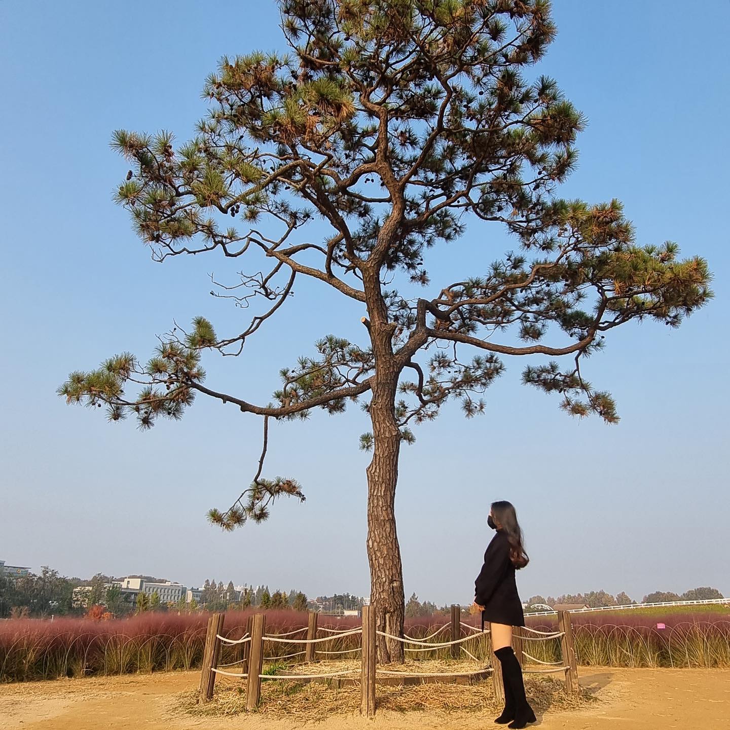 가을 분위기 뿜뿜