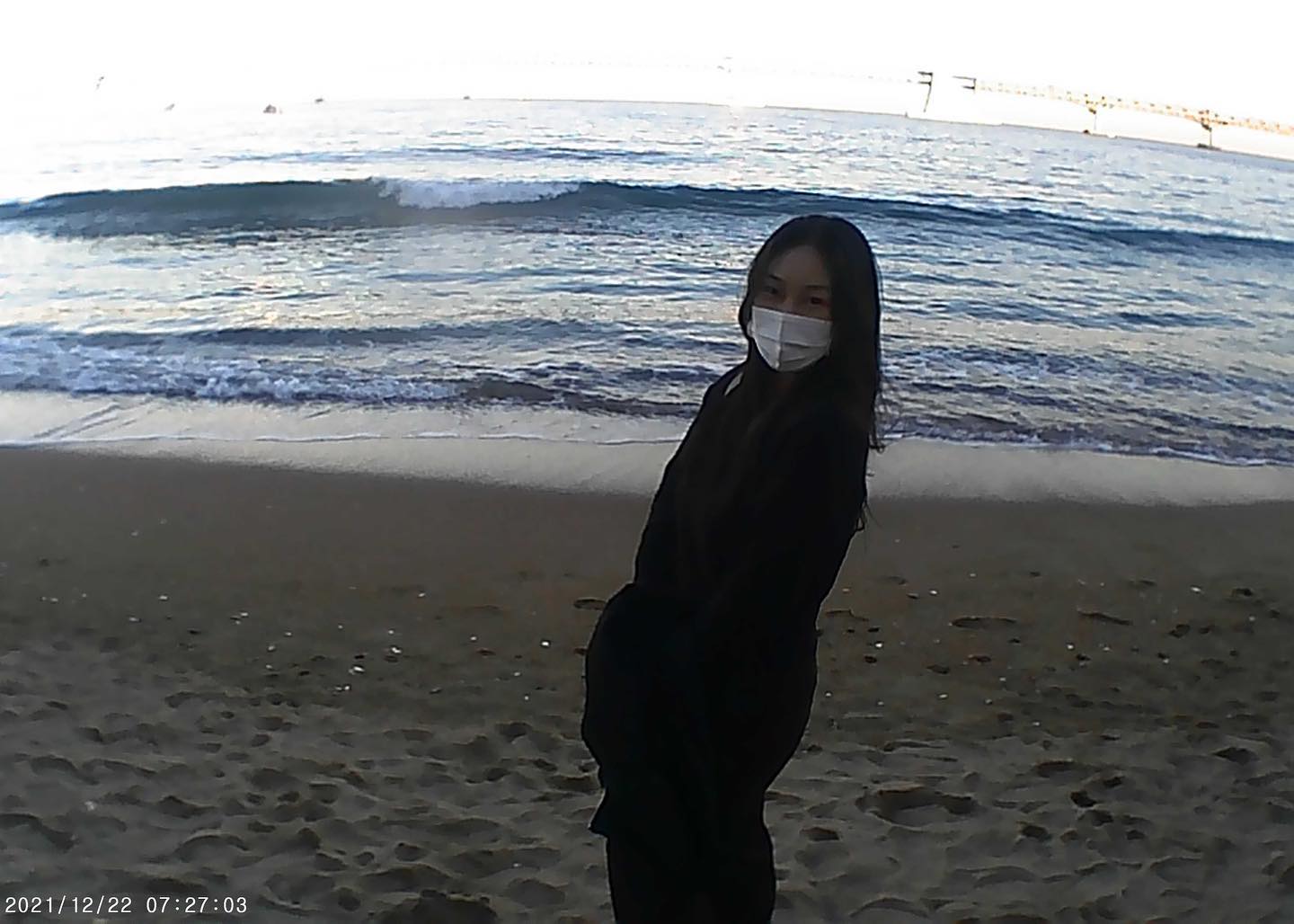 토이