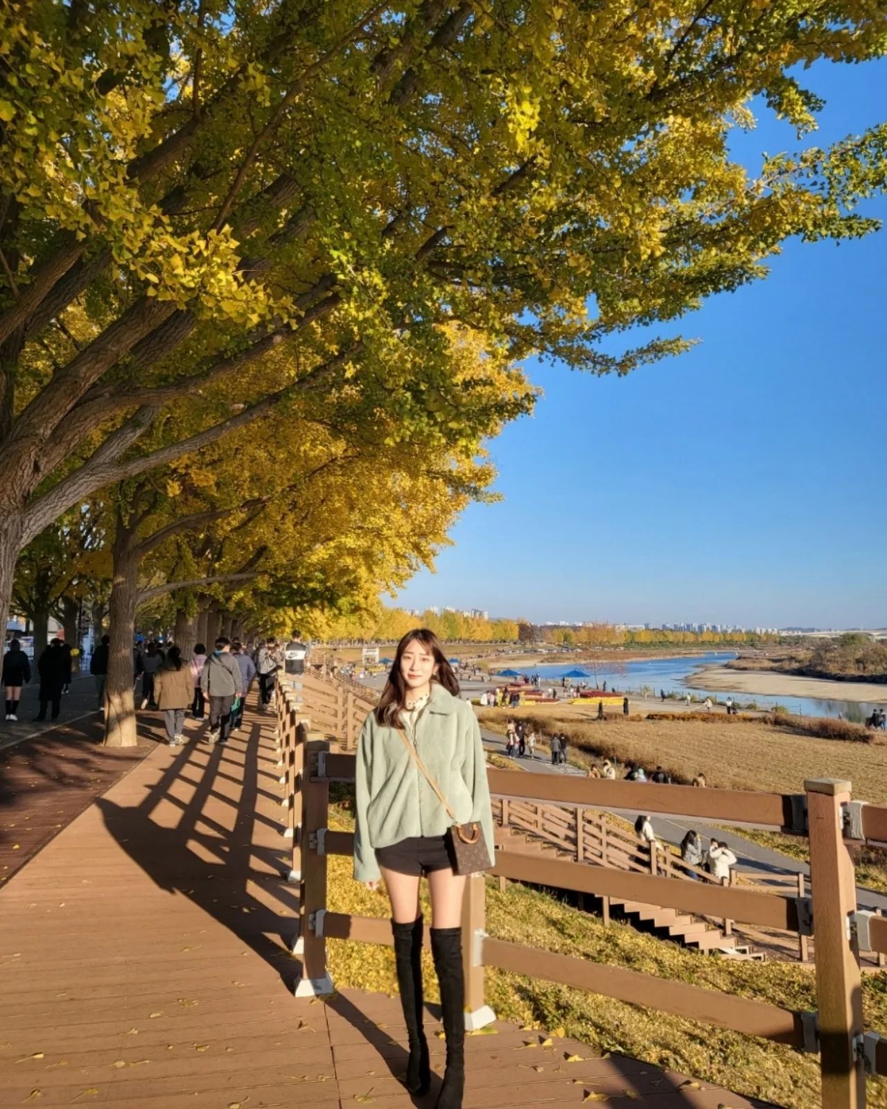 콘텐츠