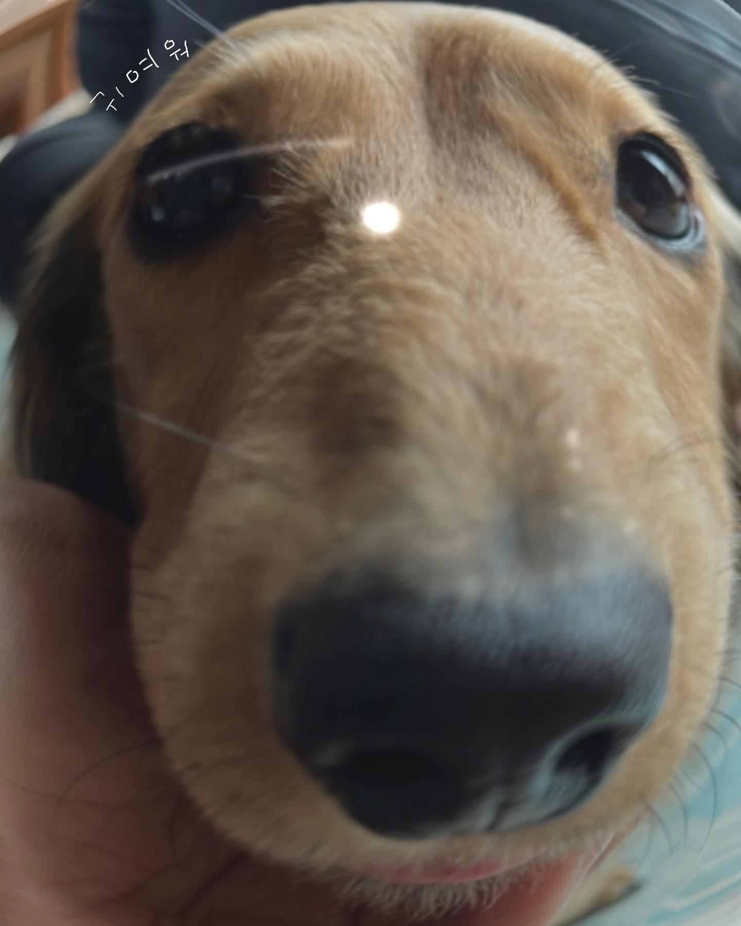 콘텐츠
