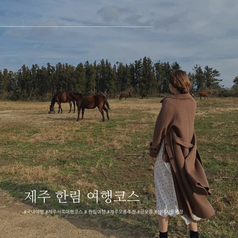제주도 서쪽 한림 여행 추천코스
1. 성이시돌목장
2. 성이시돌목장 카페 우유부단
3. 테쉬폰
4. 금오름
자세한 정보는 마니채채 블로그
#제주도여행 #제주도서쪽여행 #한림여행 #성이시돌목장 #우유부단카페 #금오름 #금오름정상 #테쉬폰