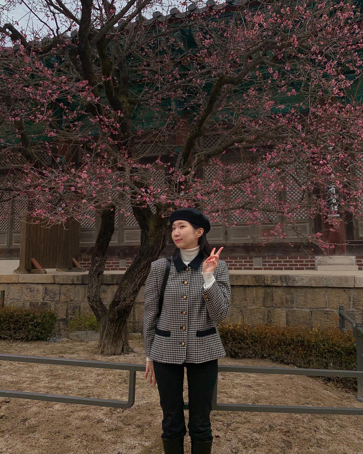 지난 주말 올해 첫 꽃 나들이 감💗