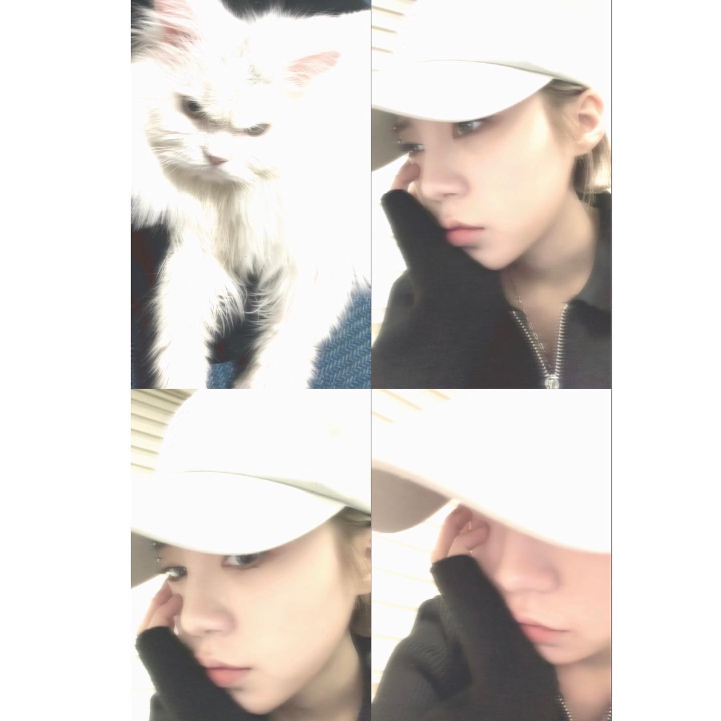 콘텐츠