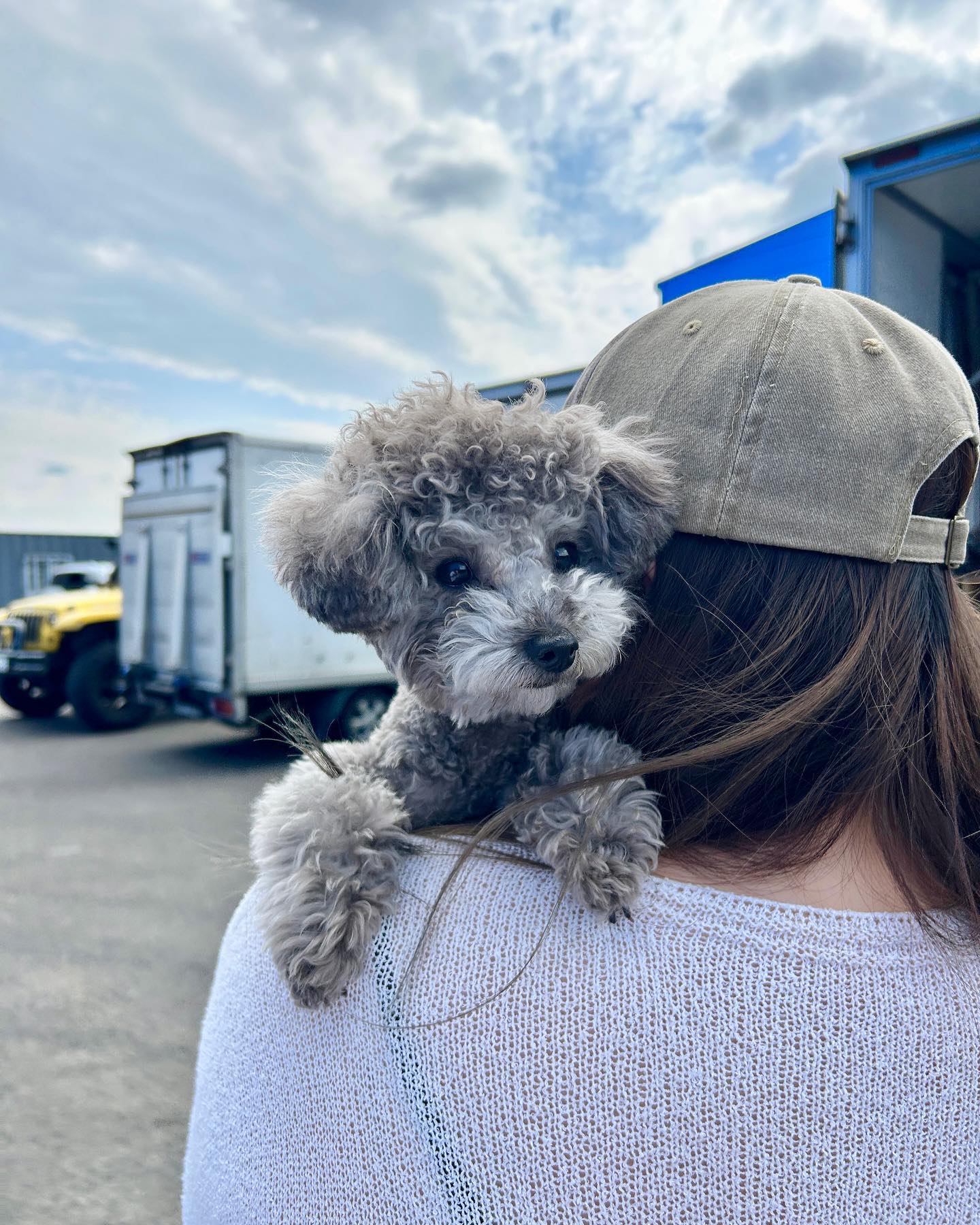 촬영장 갱얼쥐🐶

📸 by dada._.choi