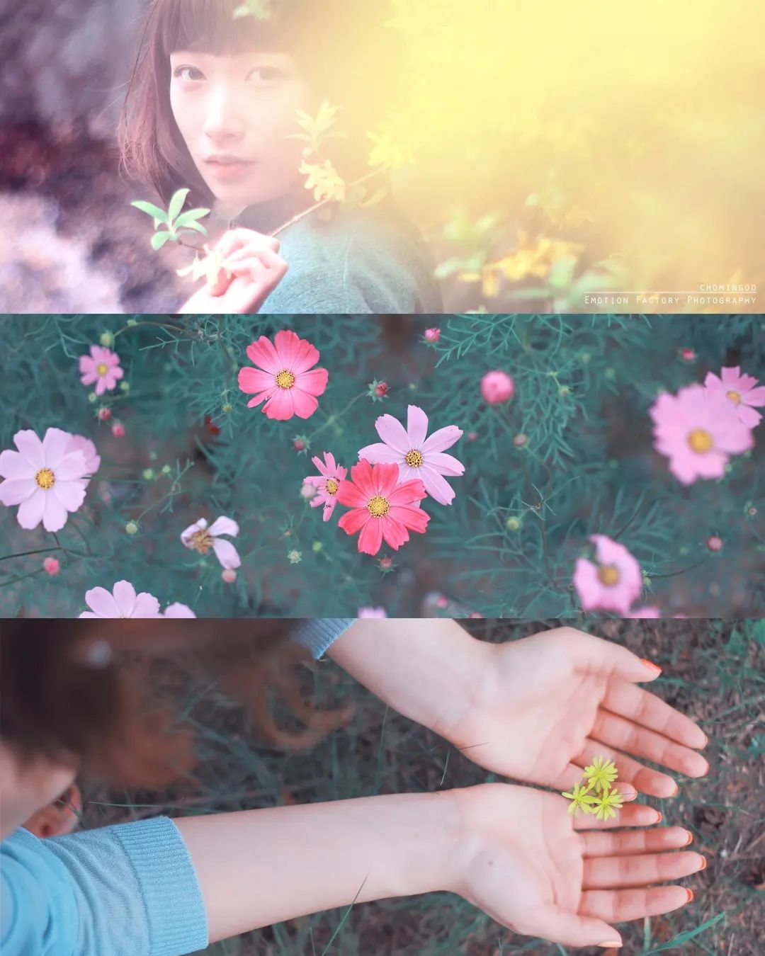 花々の時間 🌼🌺🌷💐🌸

Copyright ⓒ 조민구. All rights Reserved.
Emotion Factory Photography

#EmotionFactory #chomingoo1 #조민구 #chomingoo #portrait #japan_portrait_club #인물사진 #광주광역시 #good_portraits_world #산책 #canonportrait #impression_shots #jp_portrait部 #일반인모델 #jp_portrait_collection #sharing_warm_time #花の写真 
 #봄 #꽃밭 #春 #cosmos #韓国 #コスモス #japancollective #photo_jpn #japantravel #수완지구카페 #flowers #relexingtime #코스모스
