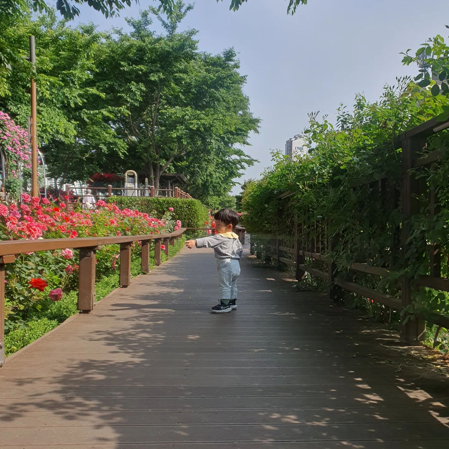 아가산책을 핑계삼아 내산책🚶‍♂️