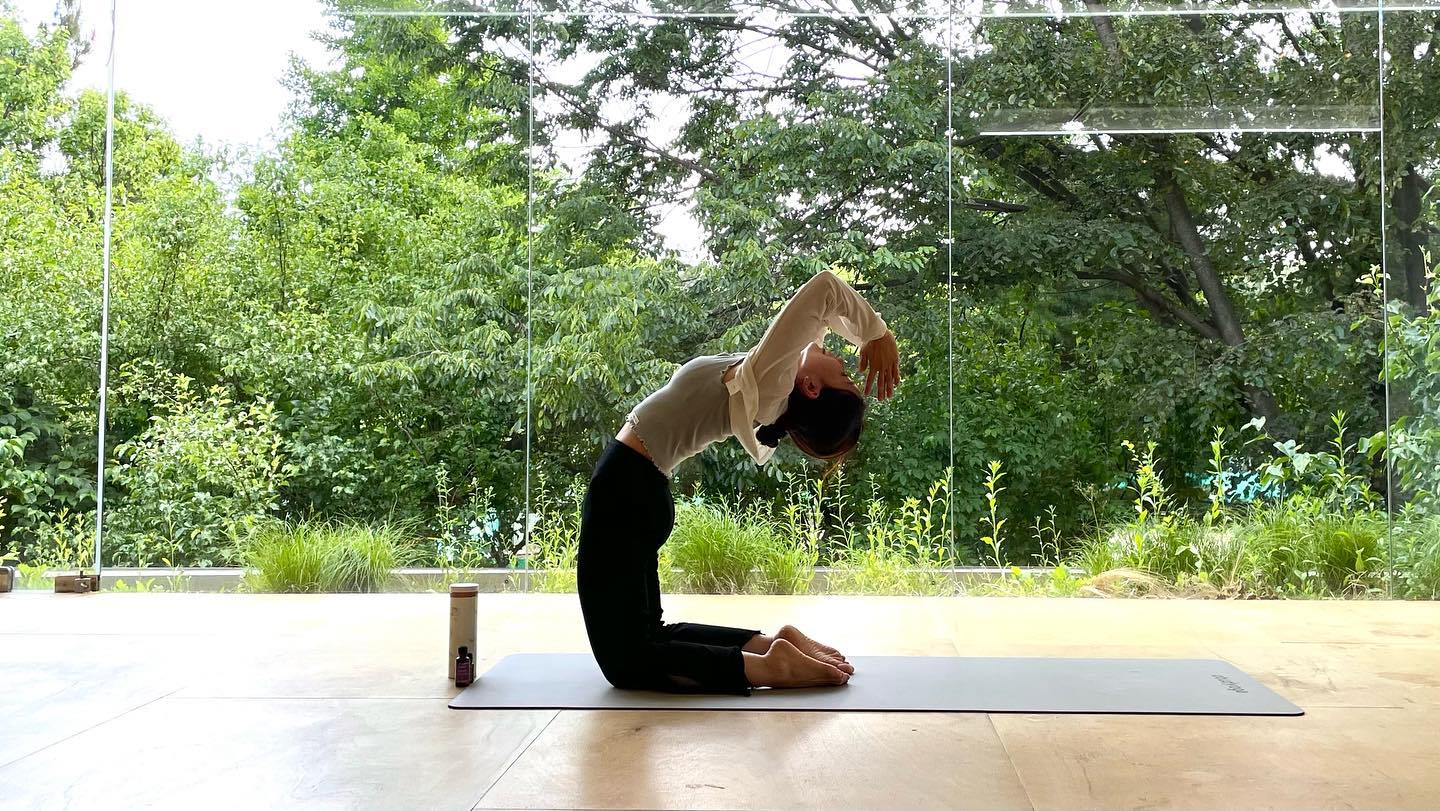요가메이트랑 요가하러
서울숲🧘🏻‍♀️
스튜디오가 넘 예뿌 
숲보면서 땀흘리니 좋으넹

#오붓요가 
#요가일상
#그린랩서울숲