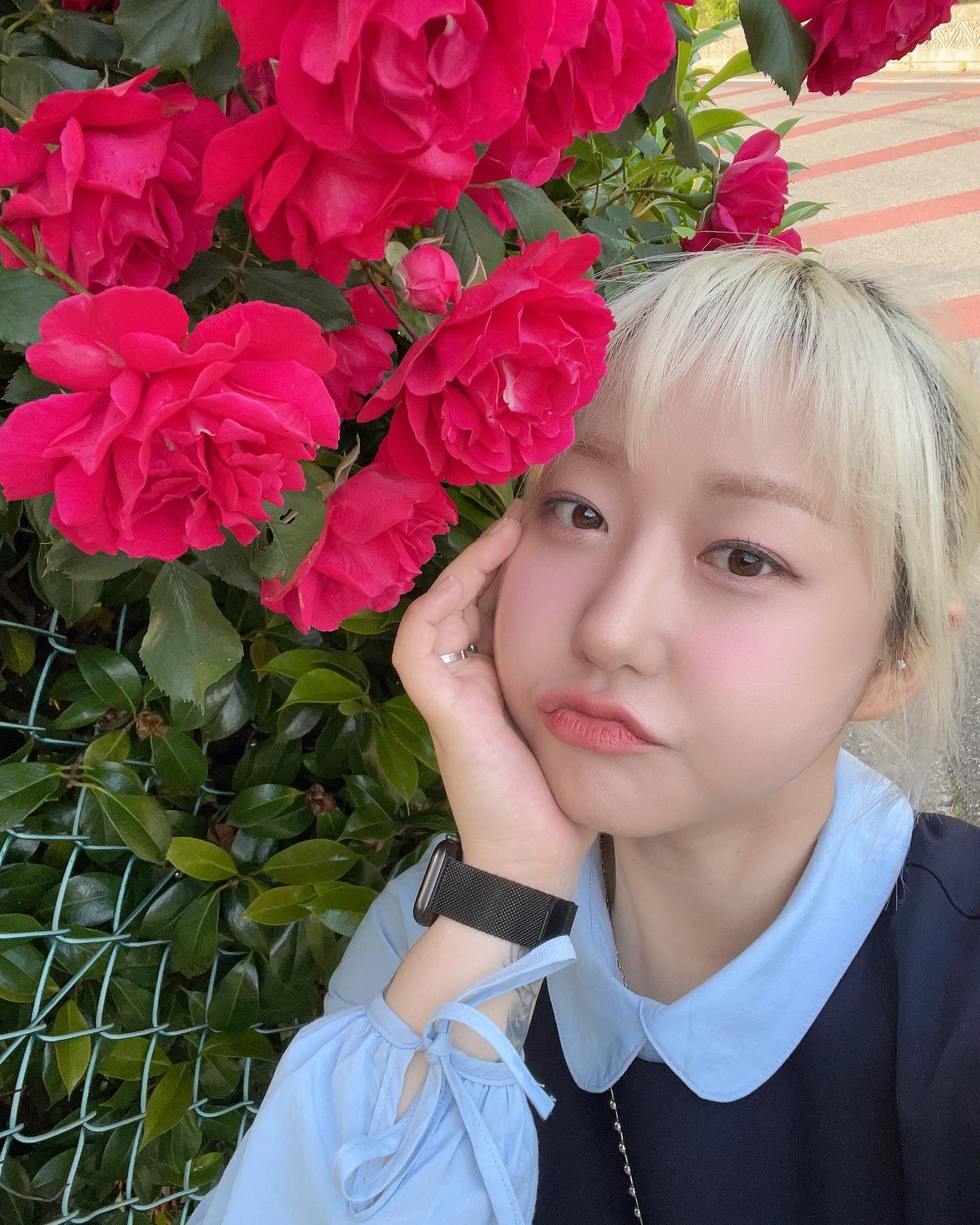 꼬츠🌹
#삼천포용두공원 #장미