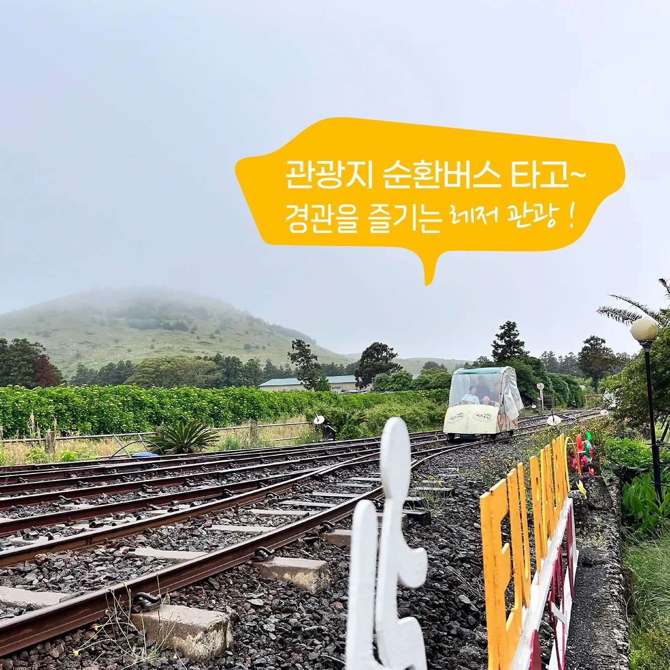 tourist_shuttle
tourist_shuttle
제주 동쪽 여행지
810번 관광지 순환버스 노선
용눈이 오름이 한눈에 보이는 제주 레일바이크
포토스팟~! 아이들이 좋아하는 동물 농장 먹이주기~
-
관광지 순환버스 1일 정액권!
성인 : 3,000원 / 청소년 : 2,000원 / 어린이 : 1,000원
*환승정류장 사무실, 버스 내에서 구입
*혜택 : 노선내 관광지 입장료 할인!
.
#810번관광지순환버스 #관광지순환버스 #제주동쪽여행
#운전없이 #편안한여행 #뚜벅이여행 #국내여행안내
#제주문화역사 #관광지소개 #버스여행 #안전한여행
#제주자유여행 #제주레일바이크 #레일바이크 #레저관광
#용눈이오름 #다랑쉬오름 #jeju​​​​ #jejudo​​​​ #jejuisland​​​​
#제주도​​​​ #제주여행 #제주관광 #제주맛집 #1일정액권​​​​