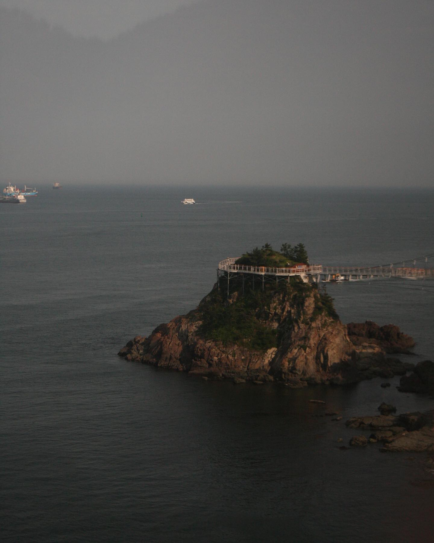 섬동동