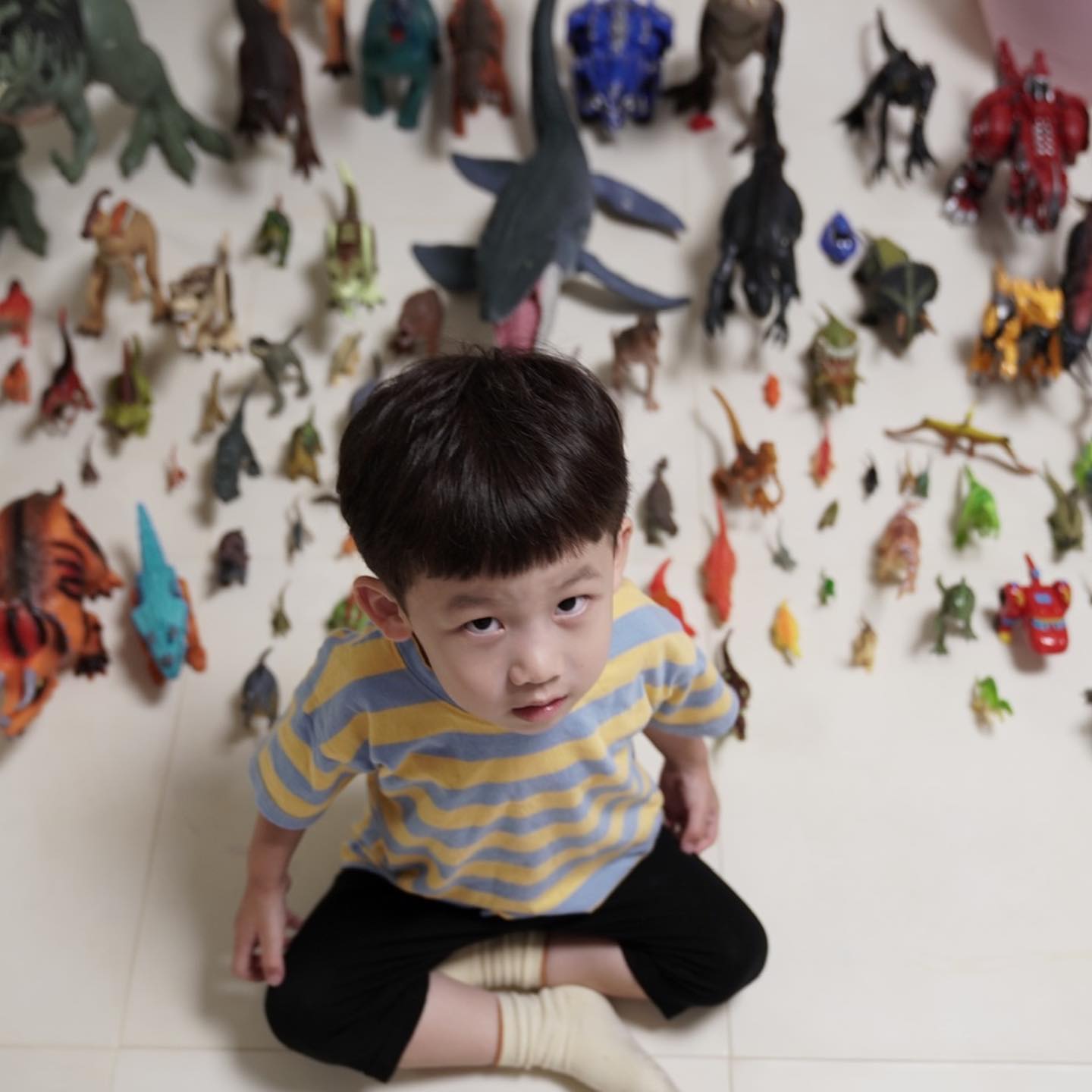 공룡대장 하준이네집🦖
공룡사기 줄이기로 약속하면서 돼지저금통을 사줬는데🙂
마트가기+공룡그만사기 지켜보자🙌🏻
.
.
.
#아들스타그램#공룡덕후#쥬라기시리즈마니아#하준이의#공룡군단#집스타그램#육아스타그램