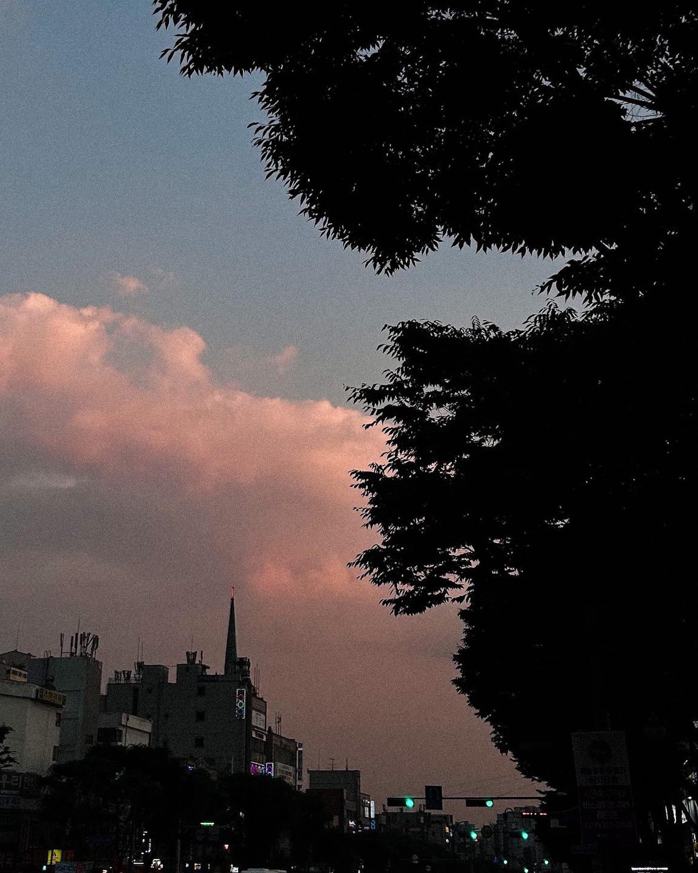 콘텐츠