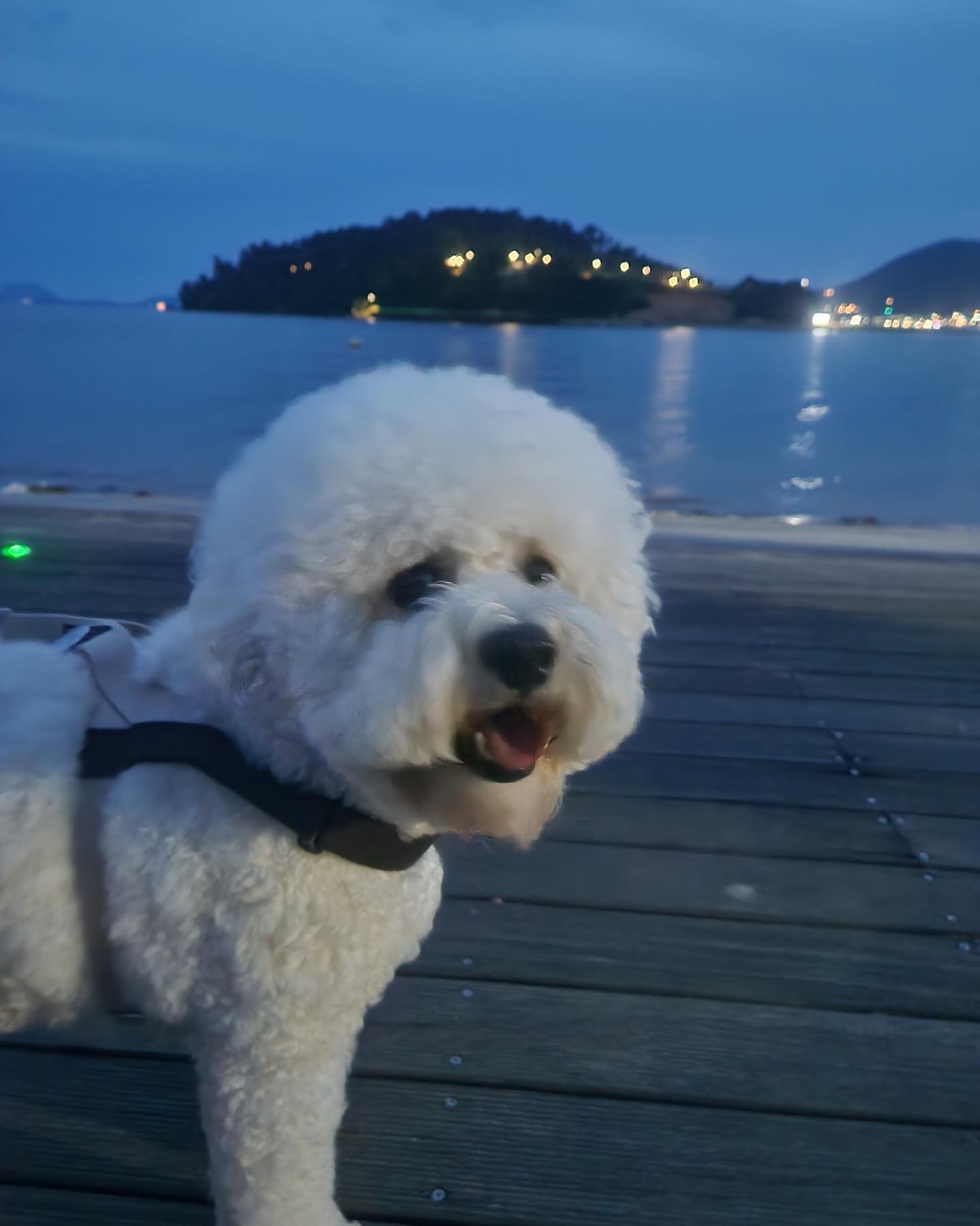 저녁 공기 좋다아 🌙