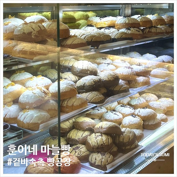 🏷️원주 #훈이네마늘빵 
📍강원 원주시 호저면 운동들2길19
✔️바질마늘빵
✔️새우마늘빵
✔️흑마늘크림치즈빵 
✔️치즈마늘빵
✔️누텔라마늘빵

진짜 존막탱,,, 💖 케텍타기전에 포장하기 딱좋아요 솔직히 급하게 포장한거라 별 기대 안 했는데 진ㅋ자 넘 맛있네요,, 

겉은바삭 속은 촉촉 겉바속촉 지려요,, 새우맛은 카레맛살짝 나서 양은 진짜많아서 마늘빵 다섯구 세트 하나 포장하면 딱 선물용으로 좋을 거 같아요 도넛보다 맛있네요 ㅎㅎㅎ 

달달하고 어르신들한테도 인기 많을 듯? 집가서 커피랑 먹기 딱조음 ㅎㅎ

#먹스타그램 #맛스타그램 #일상 #데일리 #맛집 #소통 #daily #맞팔 #먹방 #선팔 #food #팔로우 #원주맞팔 #원주여행 #원주맛집 #원주카페 #만종역근처카페 #원주여행 #원주특산물