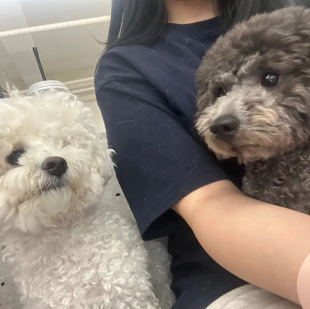 메리🐾
2023.06.18
꼭 기억할게 메리:)
