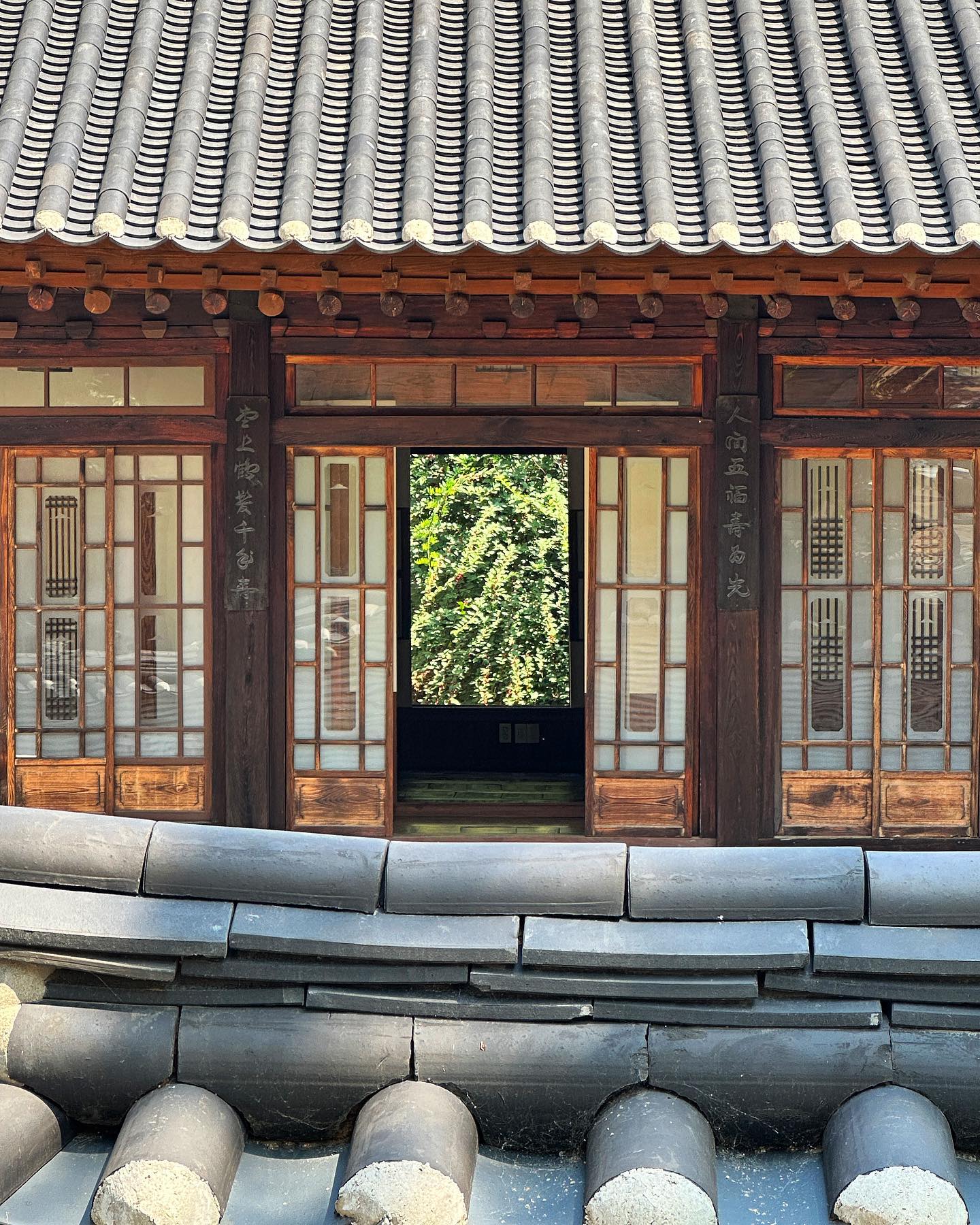 콘텐츠