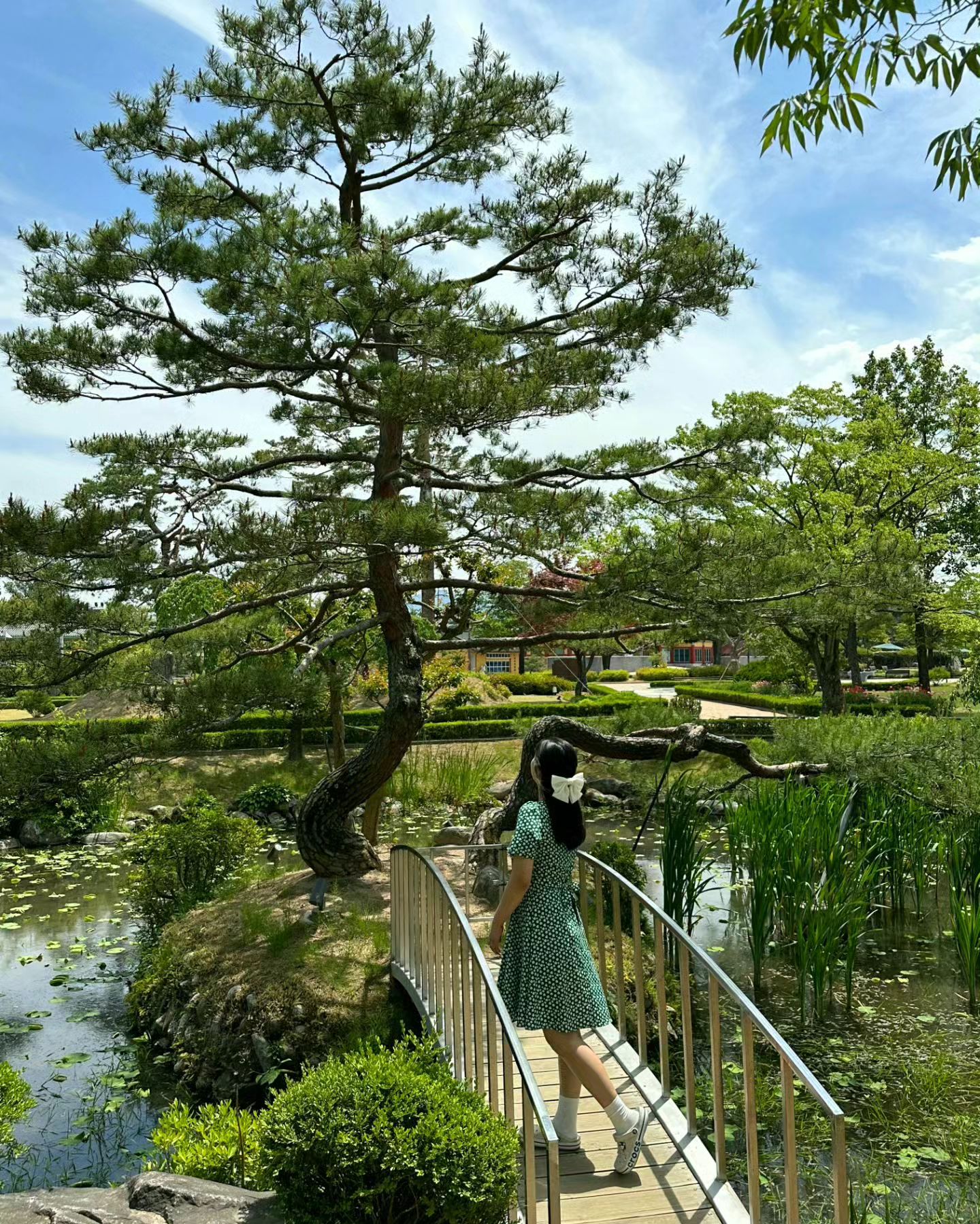 🌳 7월 어디가지 고민된다면 오죽헌 숲길 어떠세요? 사계절 모두 아름갑지단 여름에 방문하면 초록초록 싱그러움 느낄 수 있어요 #쭈의여행일기 #오죽헌숲길 #오죽헌