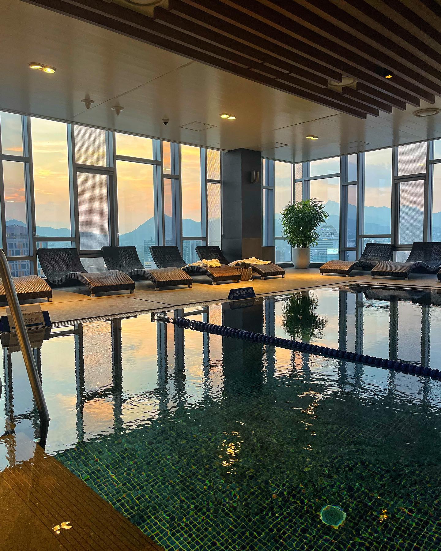 친구 덕분에 계획에 없던 공짜 호캉스 🙃
매일 전세내고 쓴 수영장🏊‍♀️
.
.
#노보텔앰배서더동대문