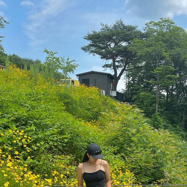 배 사 장 on Instagram: "#광고 요즘같이 더운 날씨에 #끈나시 하나만 입어줘도 스타일 완성!! 크롭기장이라 다리도 길어 보이고 브라캡나시라서 따로 브라 안 입어도 되니까 하나만 입어도 너무