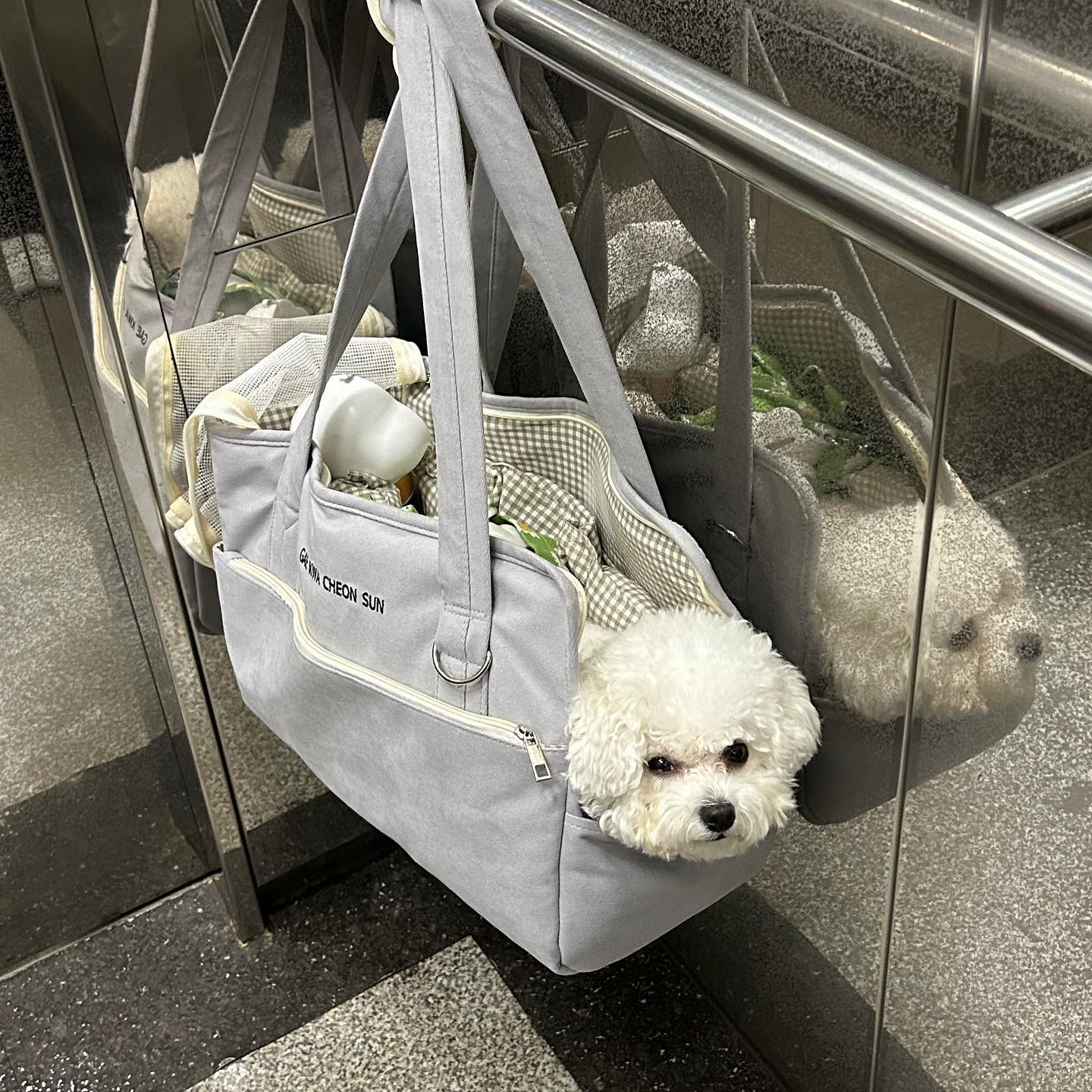 멀 째려봐 (｀_´)ゞ