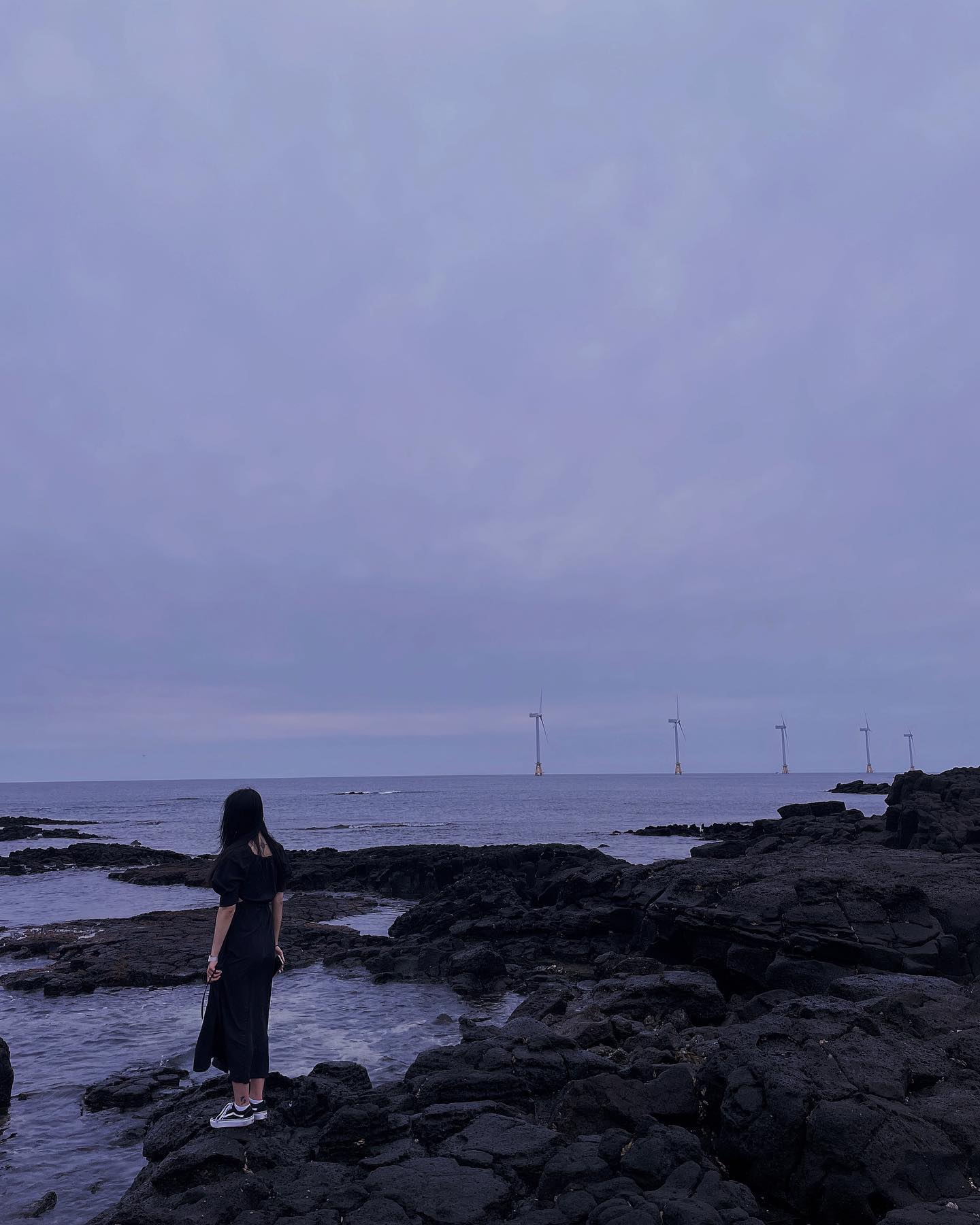 고요와 견고함의 틈새🪨🌊🦀🌅
