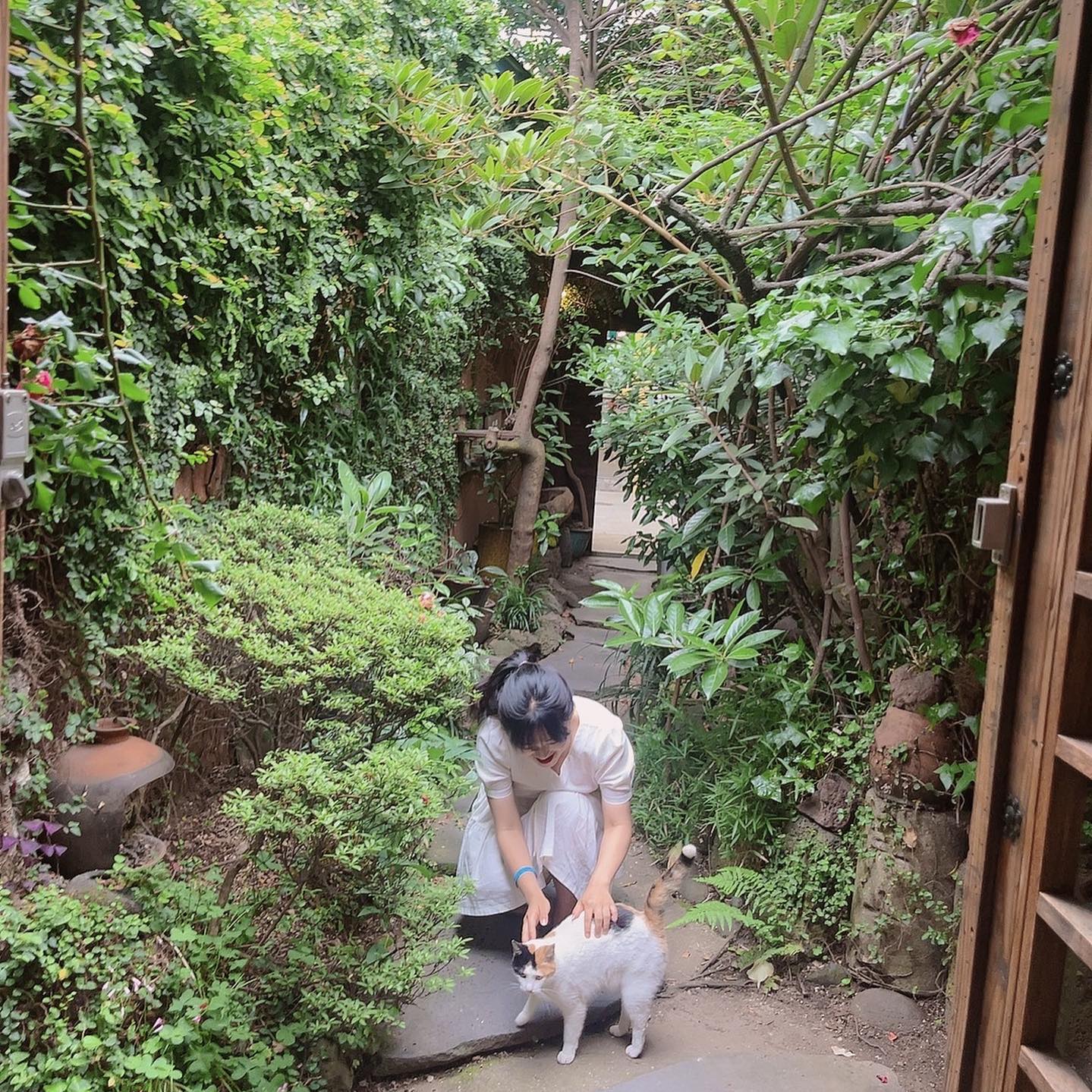 귀여운 고양이 🐈