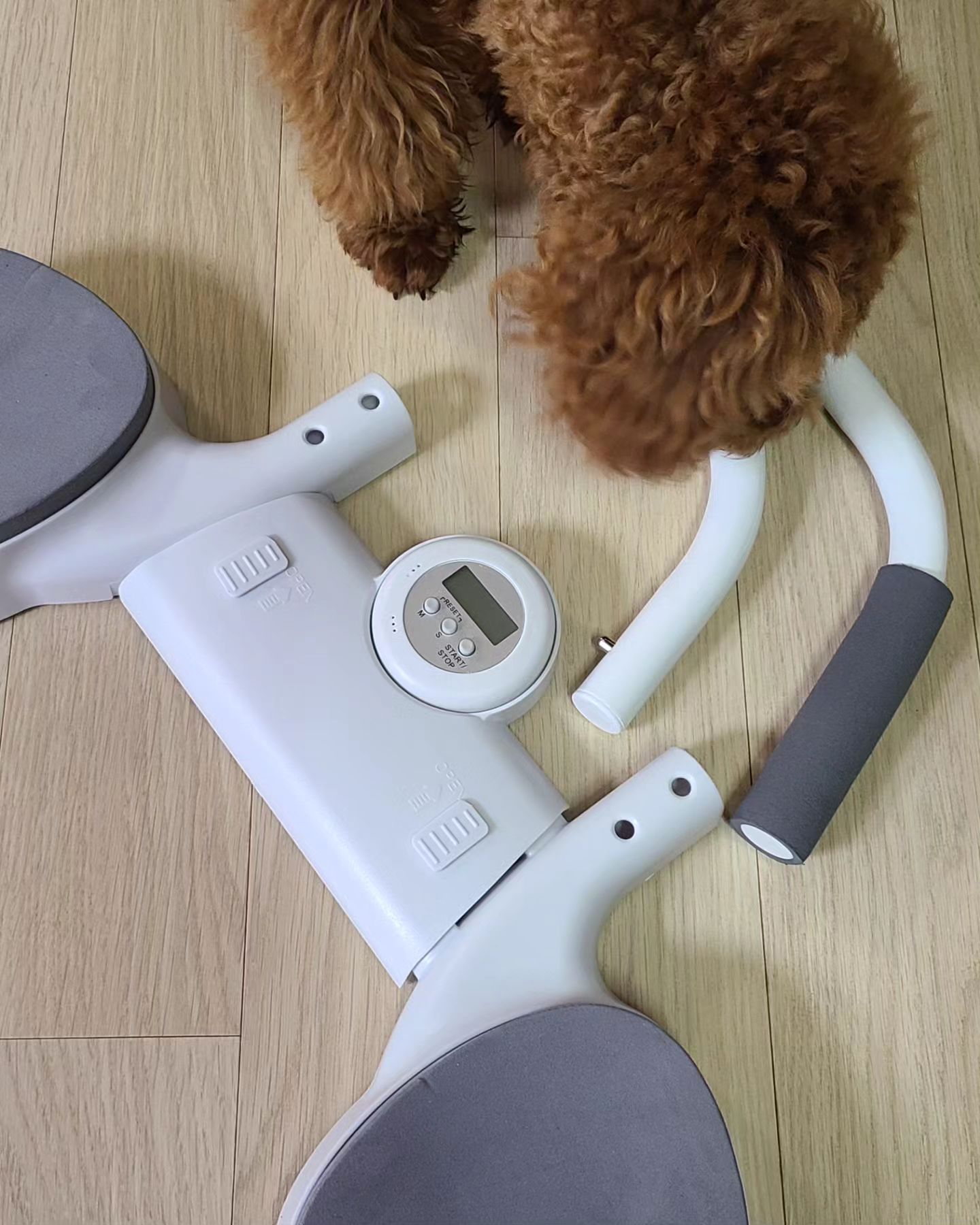 #협찬 

운동도 장비빨이죠 !! 
코어운동에도 좋고
가격대비 완전 고품질 가성비
홈트레이닝 기구에요 가볍운 무게 덕분에 
이동도 편해서 어디서나 쉽게 복근,코어,허리
운동을 할수있어서 좋아요!!
allllthough

팔꿈치도 편안하게 이용살수있도록
만들어져서 운동하기도 편하고 타이머 
시간체크도 쉽게 할수있어 플랭크 운동에 최적이에요

팔길이와 어깨넓이에 따른 길이 조절도 
할수있어서 남녀노소 모두가 이거 하나로
운동할수있어요 본인의 신체에 맞게 조절해서
사용해보니까 어렵지도 않고 판매수가
많고 평점도 좋은데 이유가 있다 생각이들어요 

#플랭크기구 #플랭크 #코어운동기구 #복근운동기구 #복부운동기구