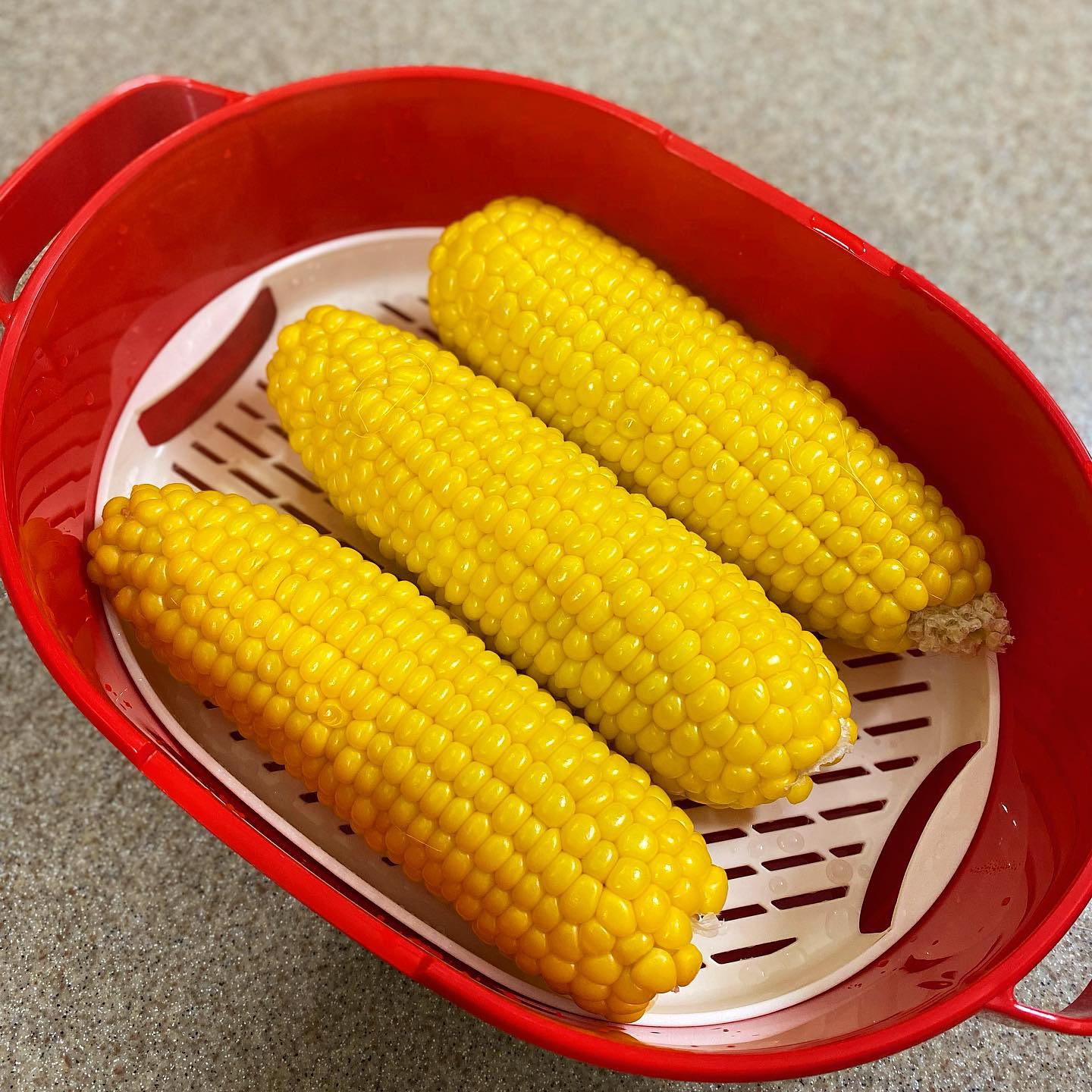 여름엔 요거디🤤#초당옥수수 #🌽