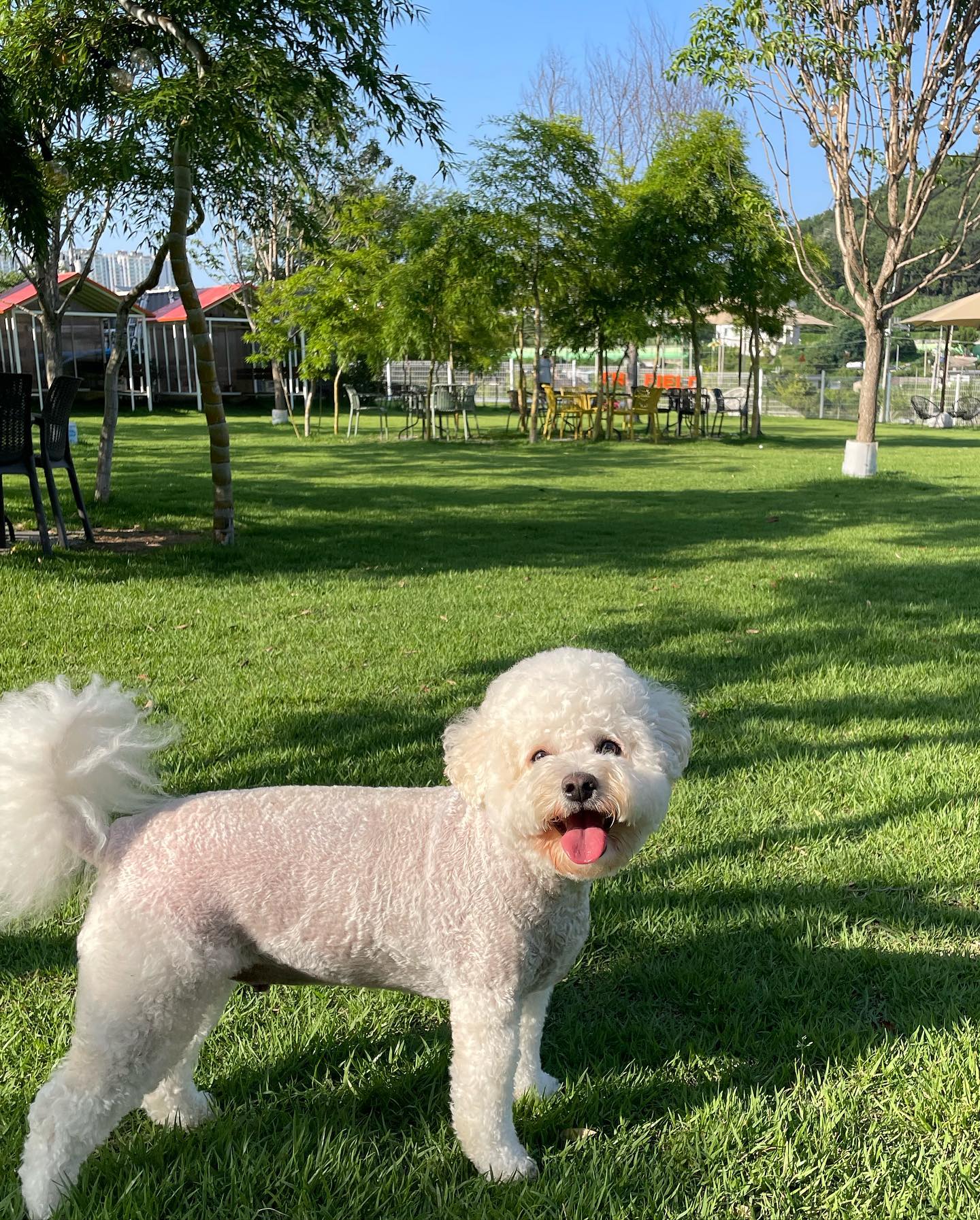 오늘 날씨 오랜만에 너무 조아땨 ʚ🧸ྀིɞ
지렁이 냄새도 실컷 뭍히구,,😉 
덥긴 해도 너무 행복 해짜나 ՞‪⸝⸝> ̫ <⸝⸝՞