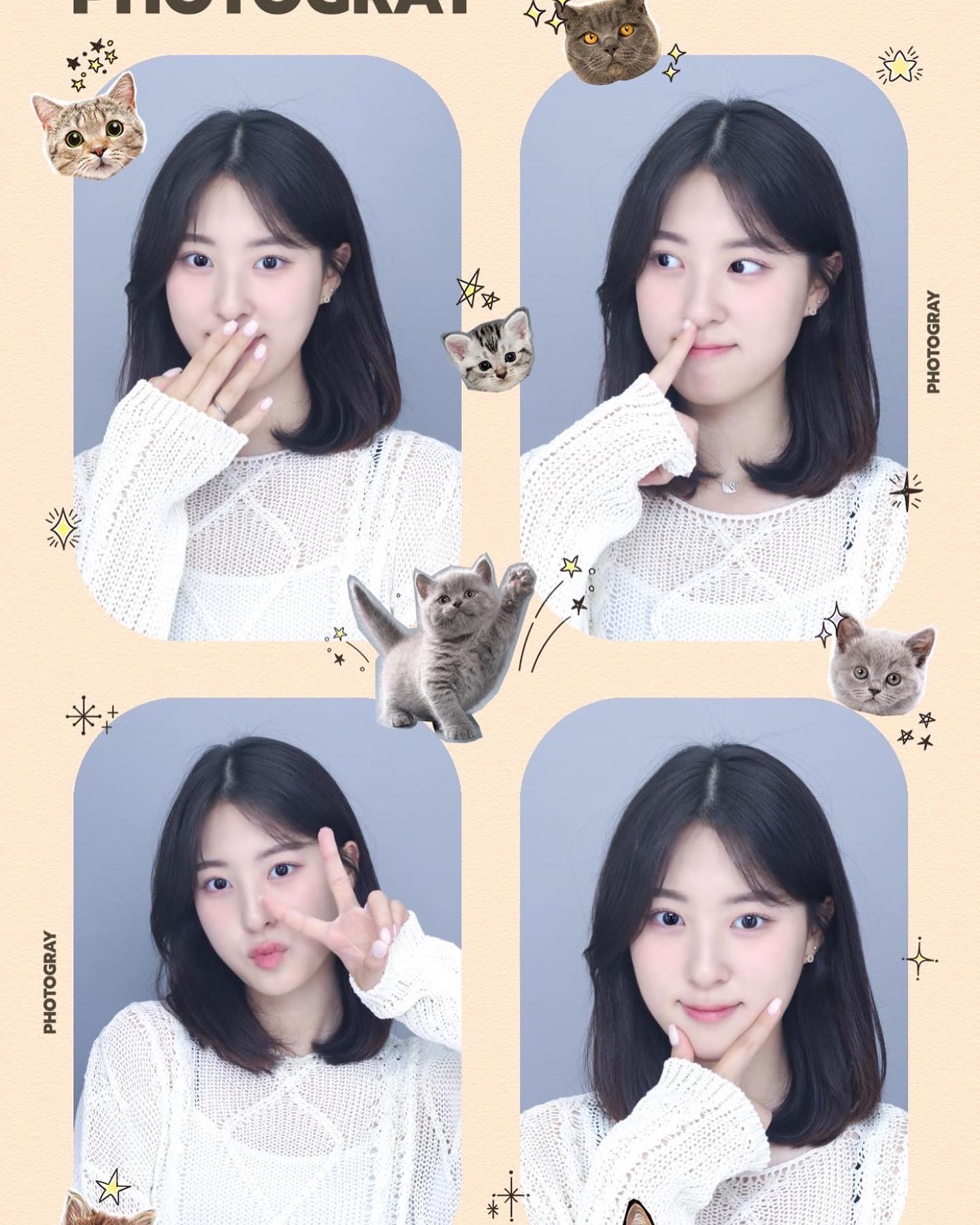 캣츠