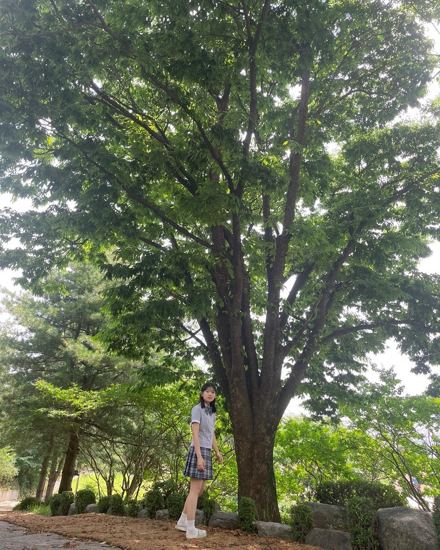 🌿 #07 #여름 #고등 #고등학생 #17 #좋반 #🌿 #🍀 #학교 #08 #09 #06 #05