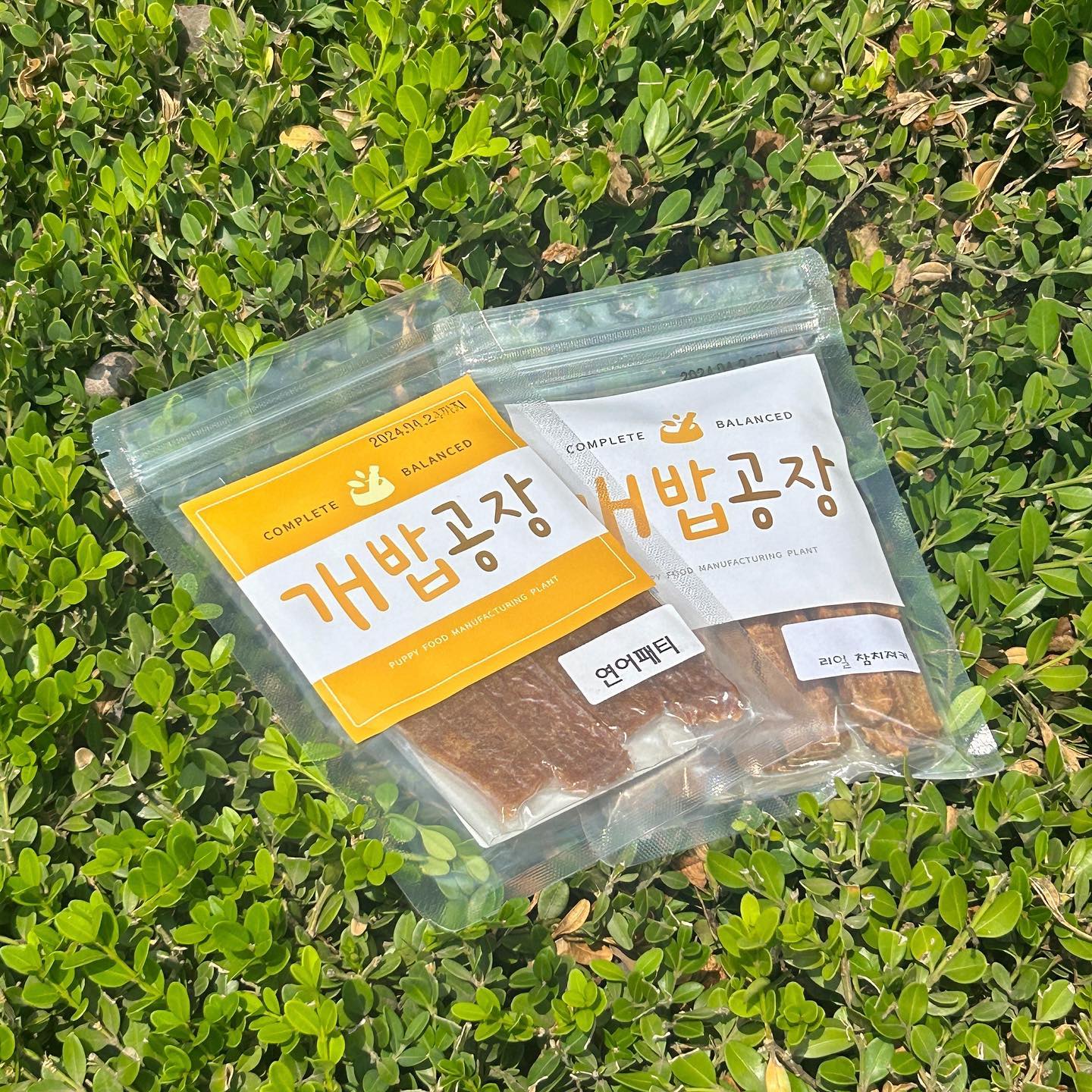 #협찬 #펫n케어 #개밥공장

#애견져키 #애견패티 #애견간식 #쿠키같은간식 #전연령간식 #맛있는영양간식 #고양이강아겸용간식 #부드러운간식 #스테이크간식 #개껌추천

피슈가 첫 간식 협찬을 받았어요..! 🥺 자기 간식을 협찬받는 갱얼지라니.. 뿌듯.. 

피슈의 새 간식은 져키&패티 ( ◠‿◠ )
• 져키는 부드러운 쿠키 타입이라 애기강아지부터 노령견까지 급여가 가능한 건강한 영양간식이에요! 피슈는 참치 져키로 선택!
• 패티는 부드러운 스테이크 느낌이라 고양이와 강아지 모두 전 연령에게 급여 가능한 영양 간식입니다! 피슈는 연어 패티로 선택!

두 종류 모두 부드럽고 맛있어서 영상처럼 피슈가 아주 맛있게 먹는답니다 🤤 치킨 순살이 베이스라 훈련용이나 노즈워크용으로 조각내서 급여하기에도 아주 좋은 간식! 요즘 피슈 캡쳐링 훈련 중인데 타이밍 짱!

https://m.smartstore.naver.com/puppyandpeople

링크에 들어가면 져키와 패티 외에도 큐브, 츄러스, 목뼈 등 다양한 간식들이 있으니 참고!

기호도가 좋아서 모든 강아지들이 잘 먹고 개밥공장의 제품은 방부처리가 되지 않은 제품들이라 믿고 먹을 간식을 원하는 분들에게 강추 👍🏻 대신 변질 최소화를 위해 조금씩 주문해서 신선하고 빠르게 급여해 주먼 된답니당 :)