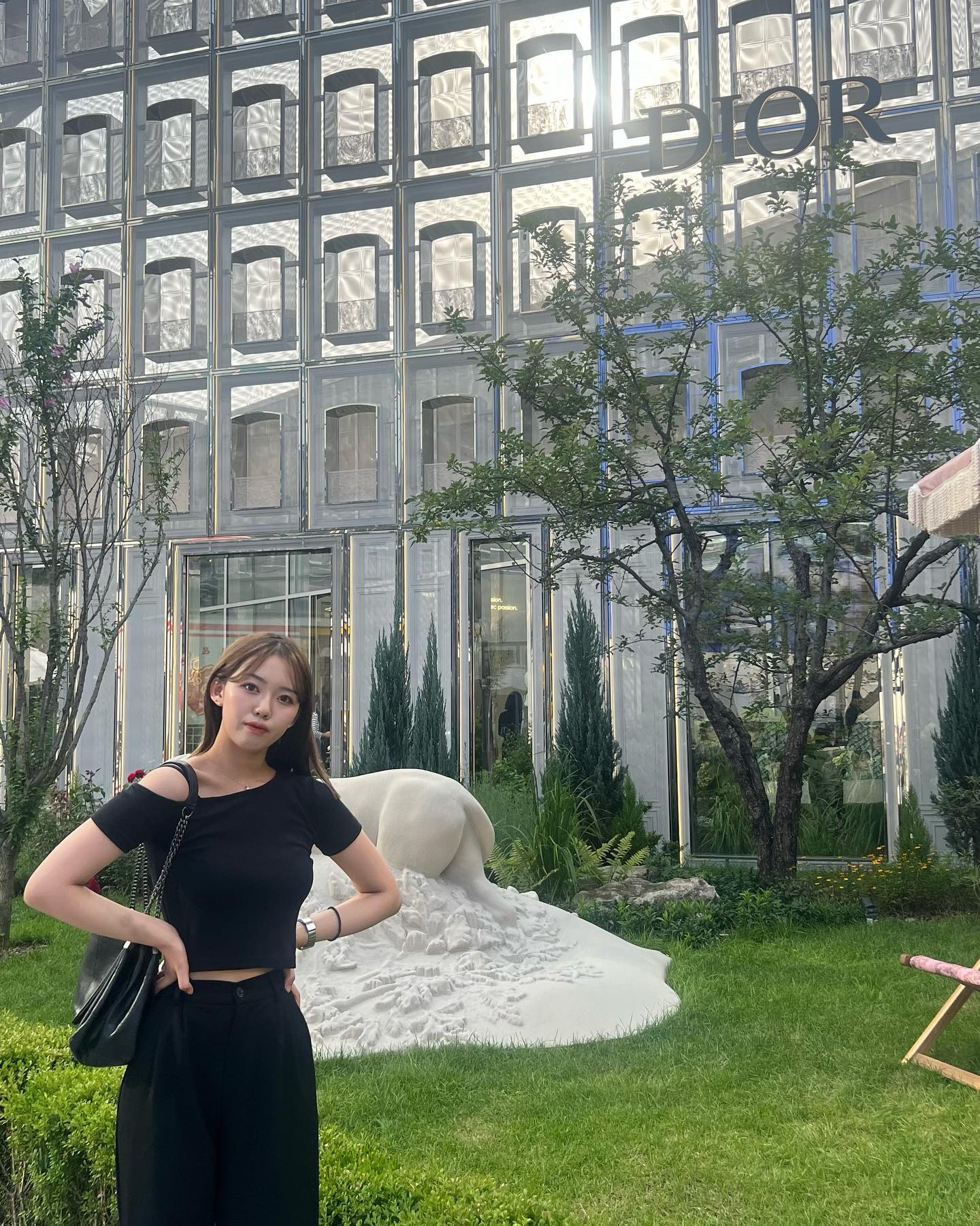 #dior