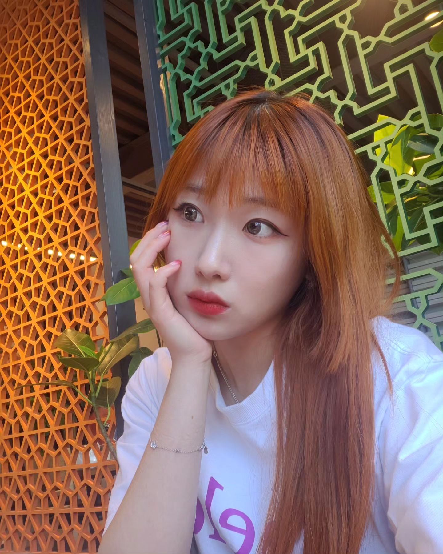 능이능이능이삼계탕